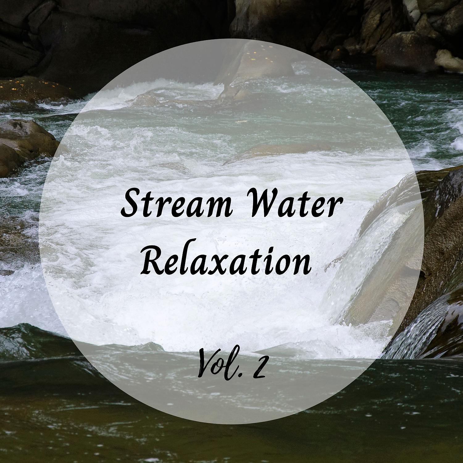 Постер альбома Stream Water Relaxation Vol. 2