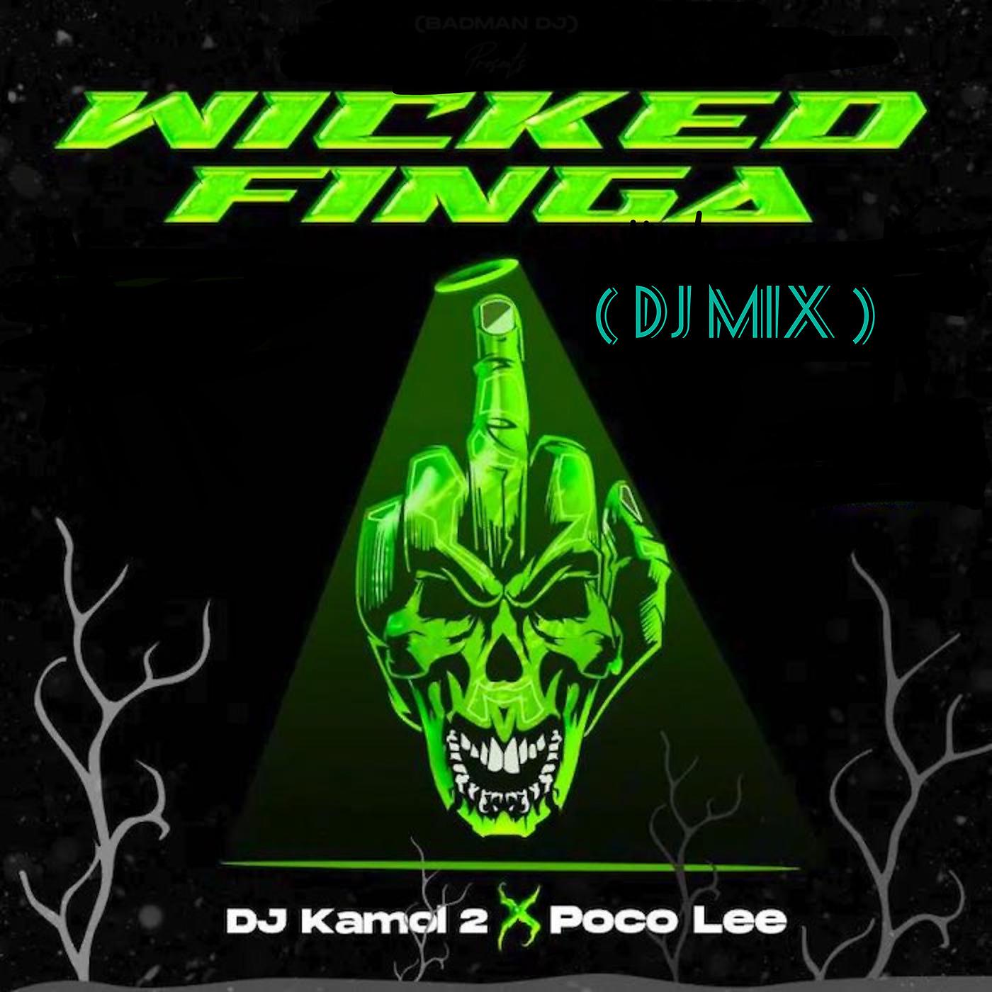 Постер альбома Wicked Finga ( DJ Mix)
