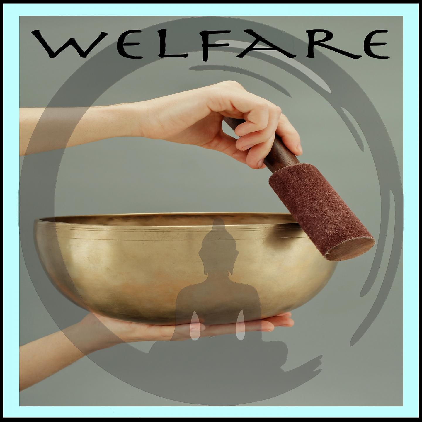 Постер альбома Welfare