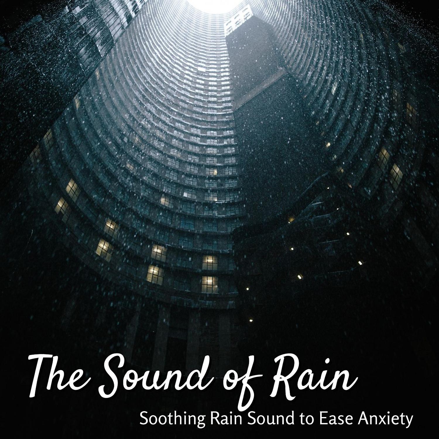 Постер альбома The Sound of Rain: Soothing Rain Sound to Ease Anxiety