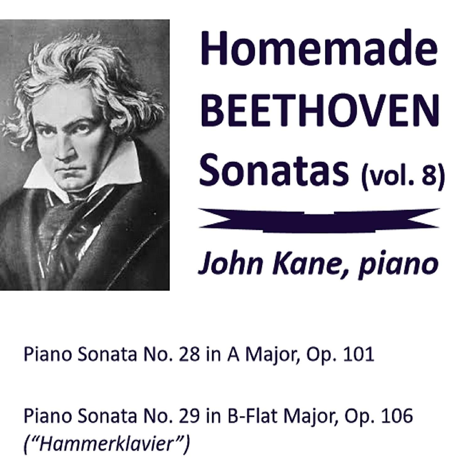 John Kane - Piano Sonata No. 28 in A Major, Op. 101: IV. Allegro