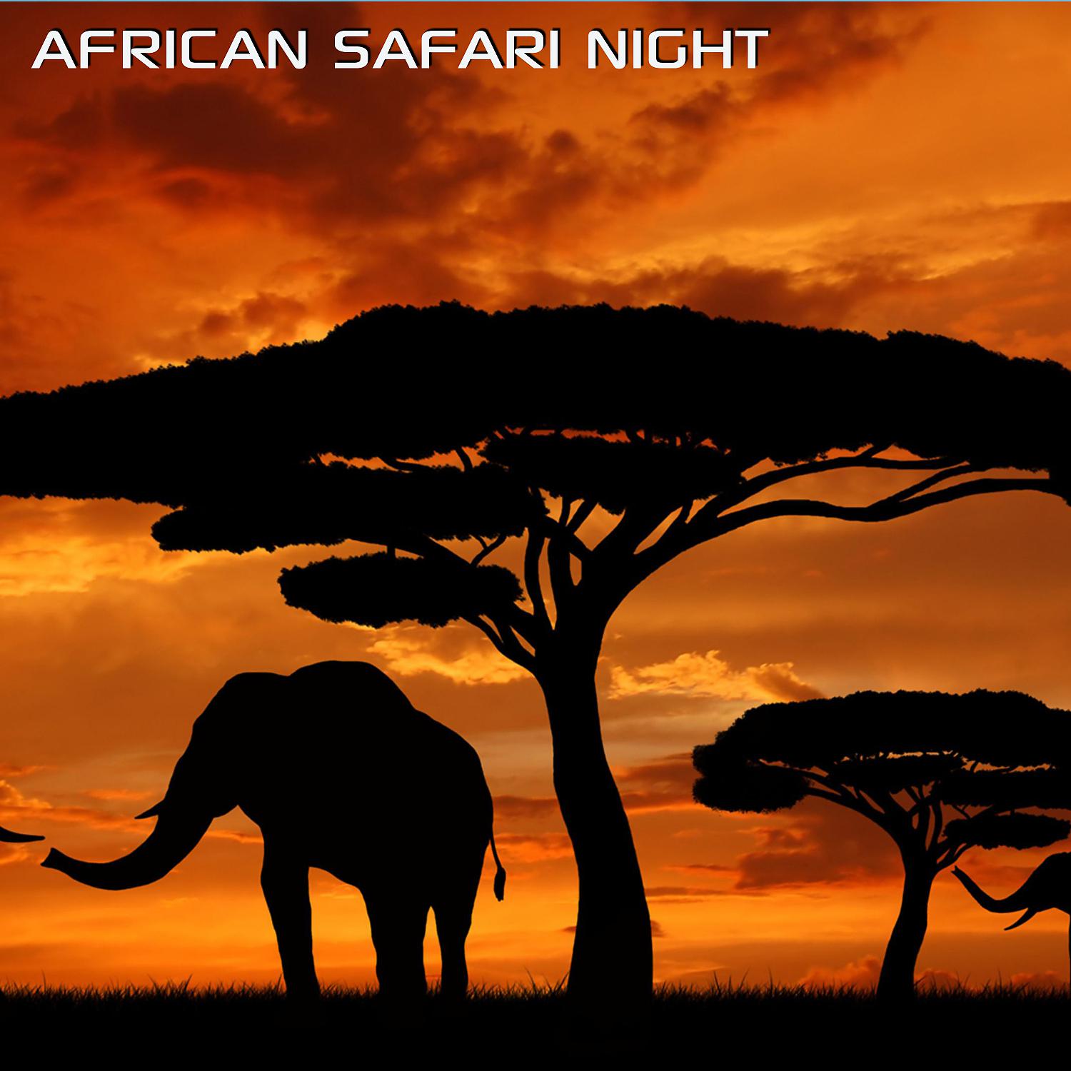 Постер альбома African Safari Night (feat. Nature Soundscapes & Discovery Soundscapes)