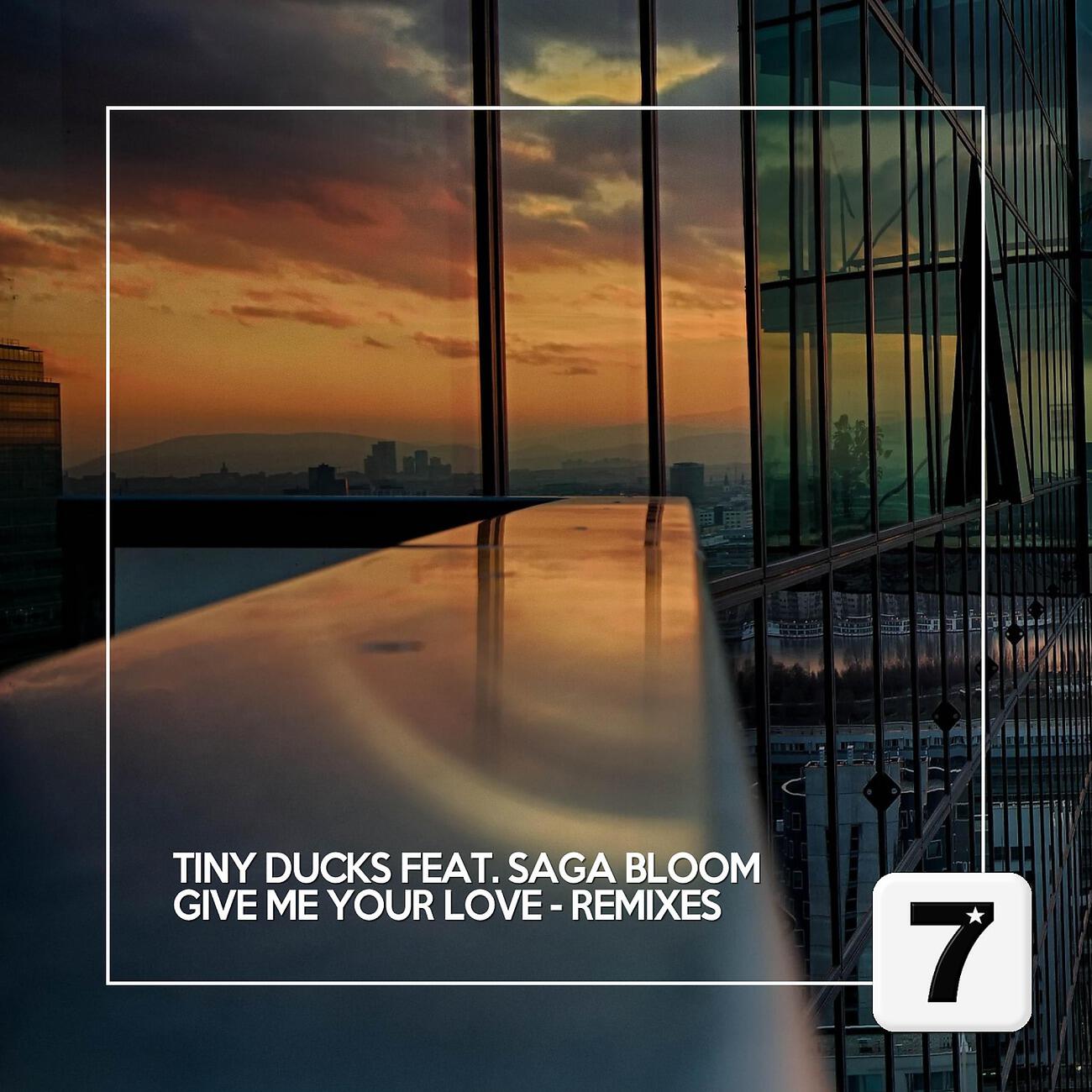 Tiny Ducks - Give Me Your Love (Ryoji Takahashi Remix)