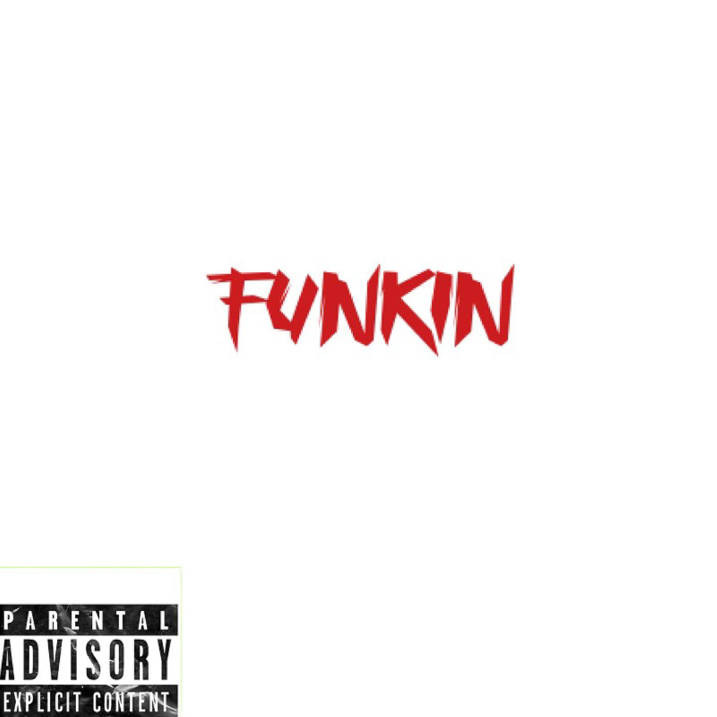 Постер альбома Funkin