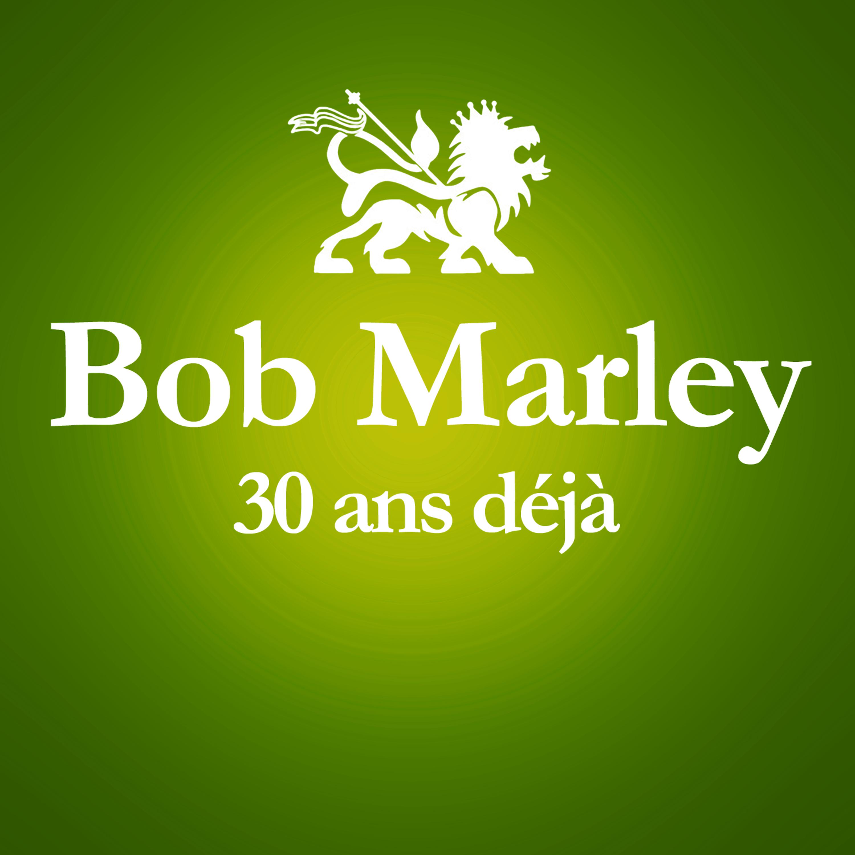 Постер альбома 1981 - 2011 : 30 Ans Déjà.. (Album Anniversaire Des 30 Ans Du Décès De Bob Marley)