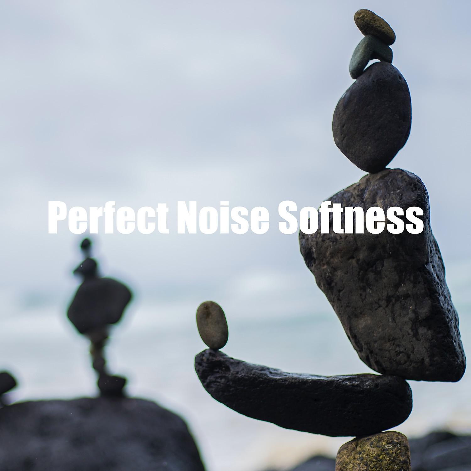 Постер альбома Perfect Noise Softness