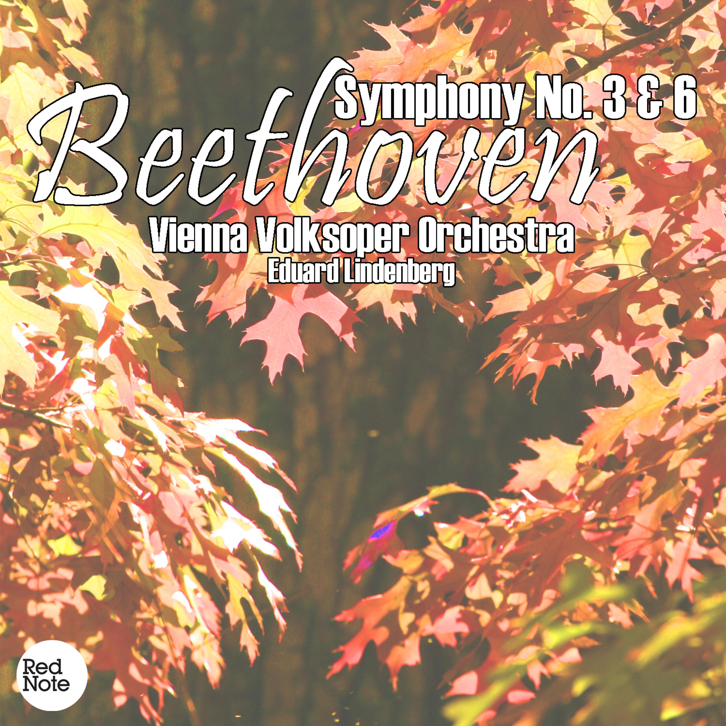 Постер альбома Beethoven: Symphony No. 3 & 6