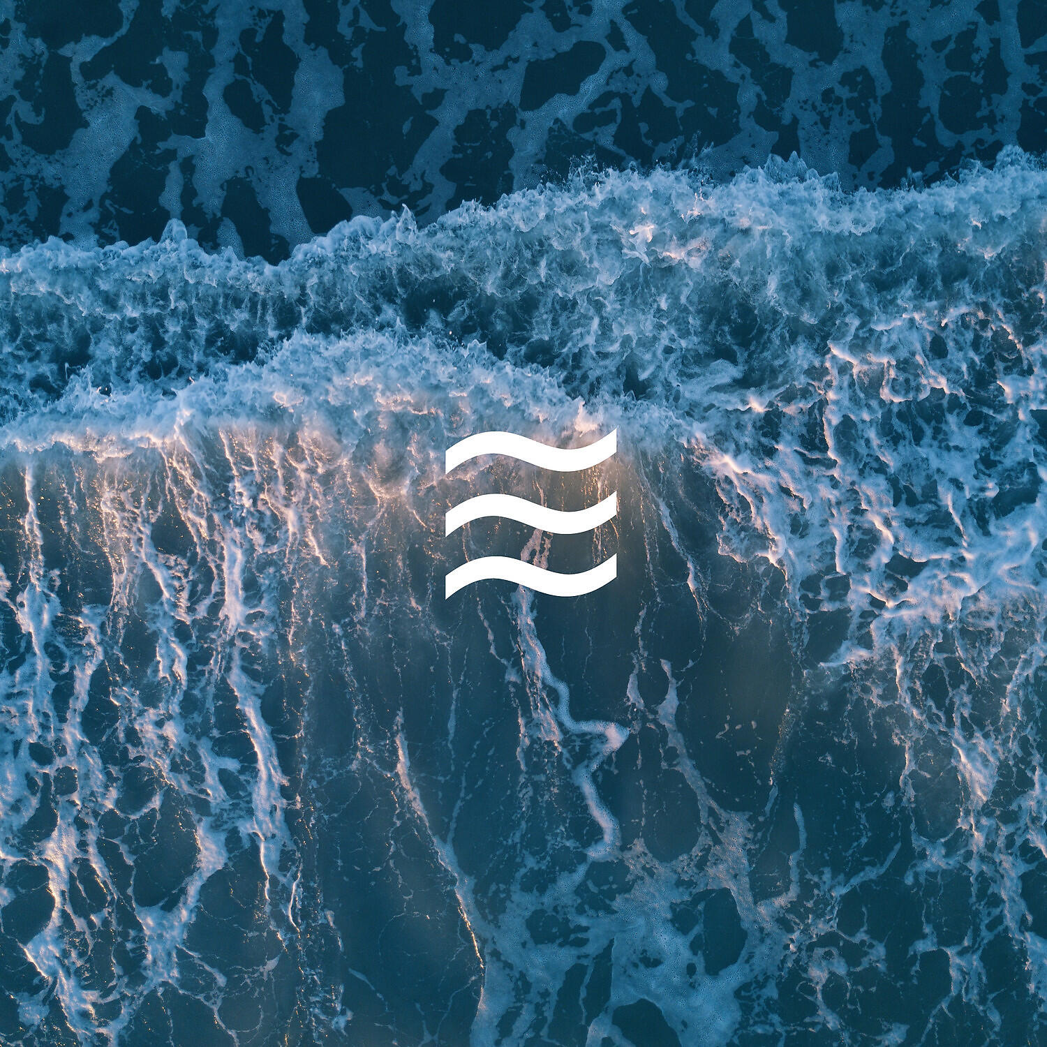 Trees of the Forest for Calm - Trees Sounds of Noises Forest