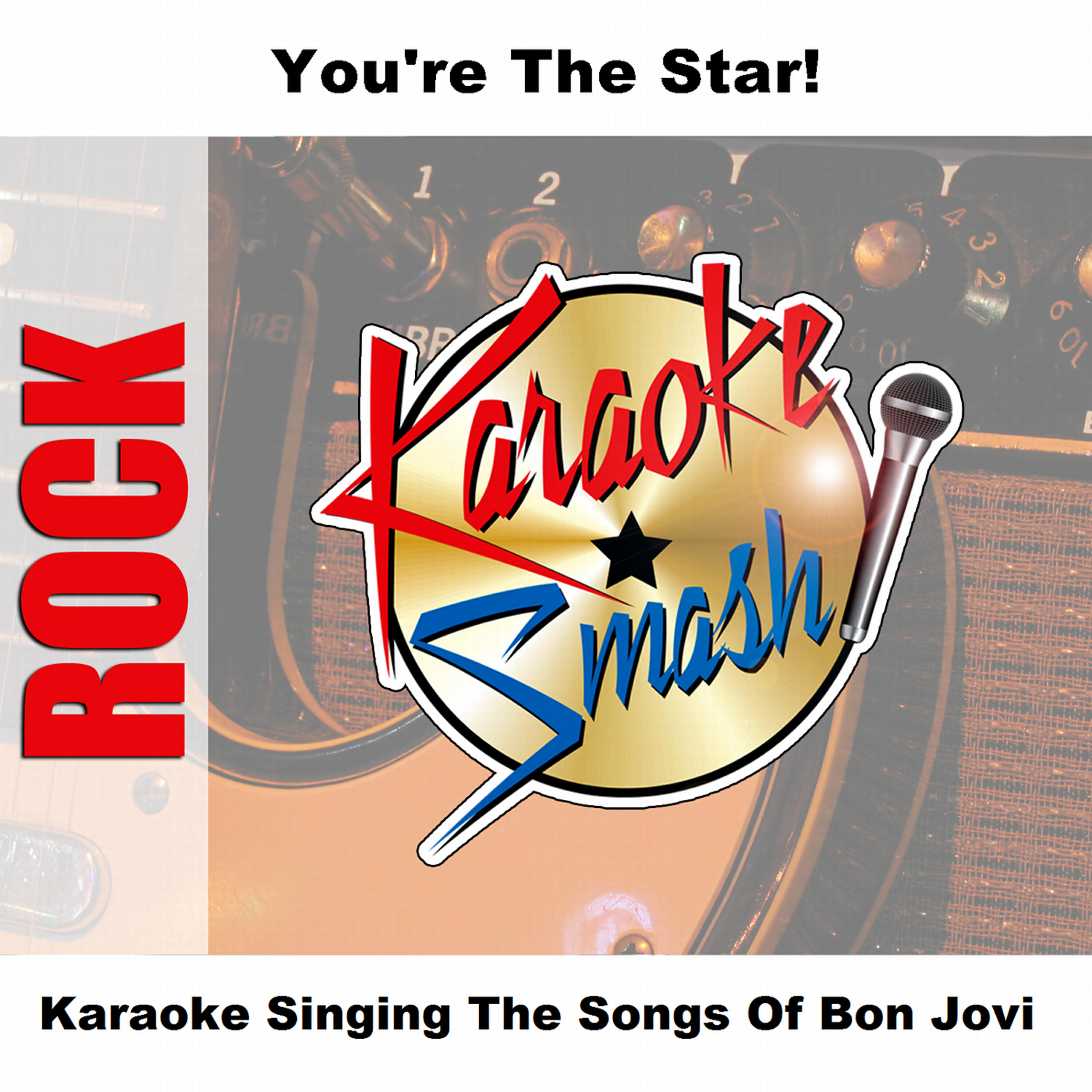 Studio Group - This Ain't A Love Song (karaoke-version) As Made Famous By: Bon Jovi