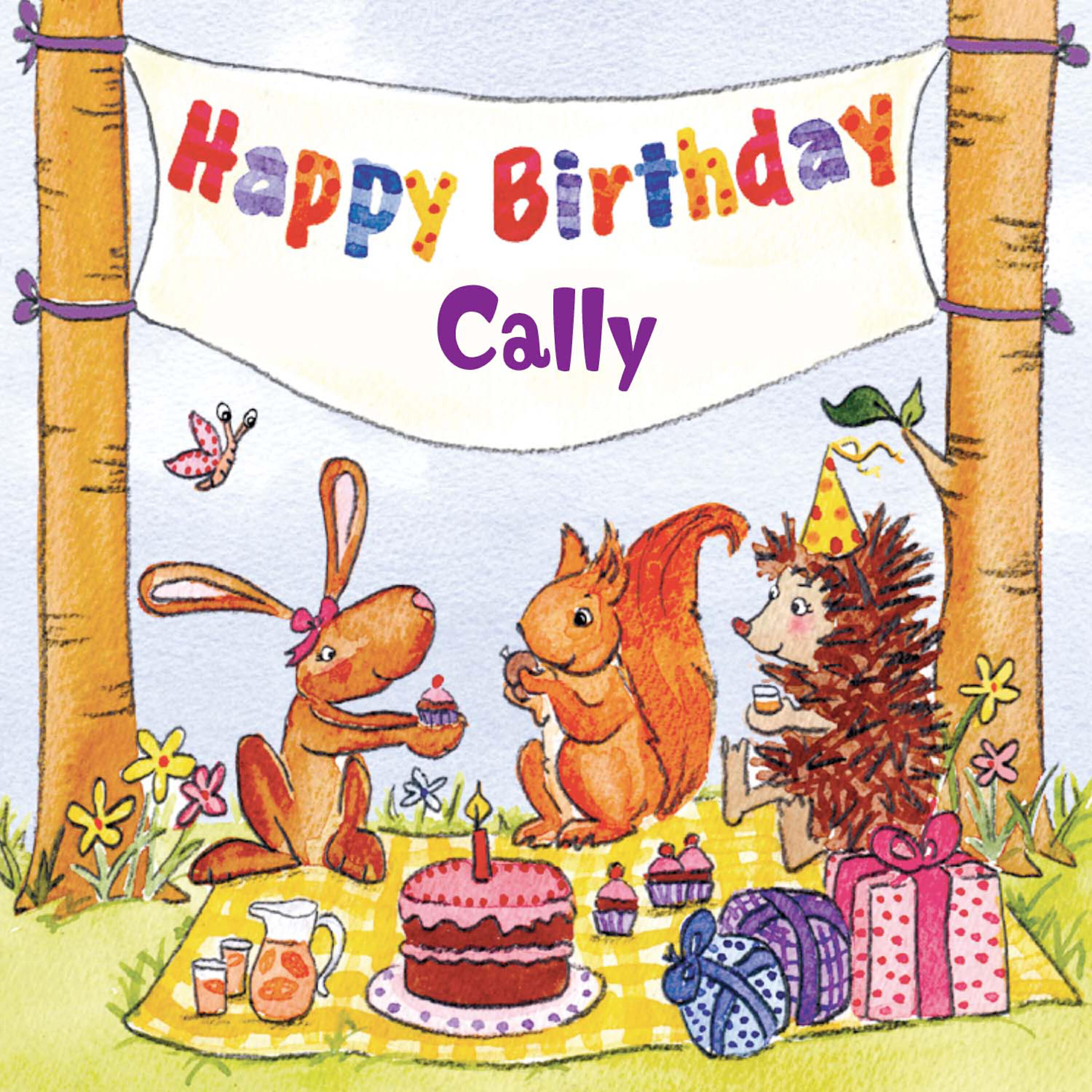 The Birthday Bunch - Animal Fair