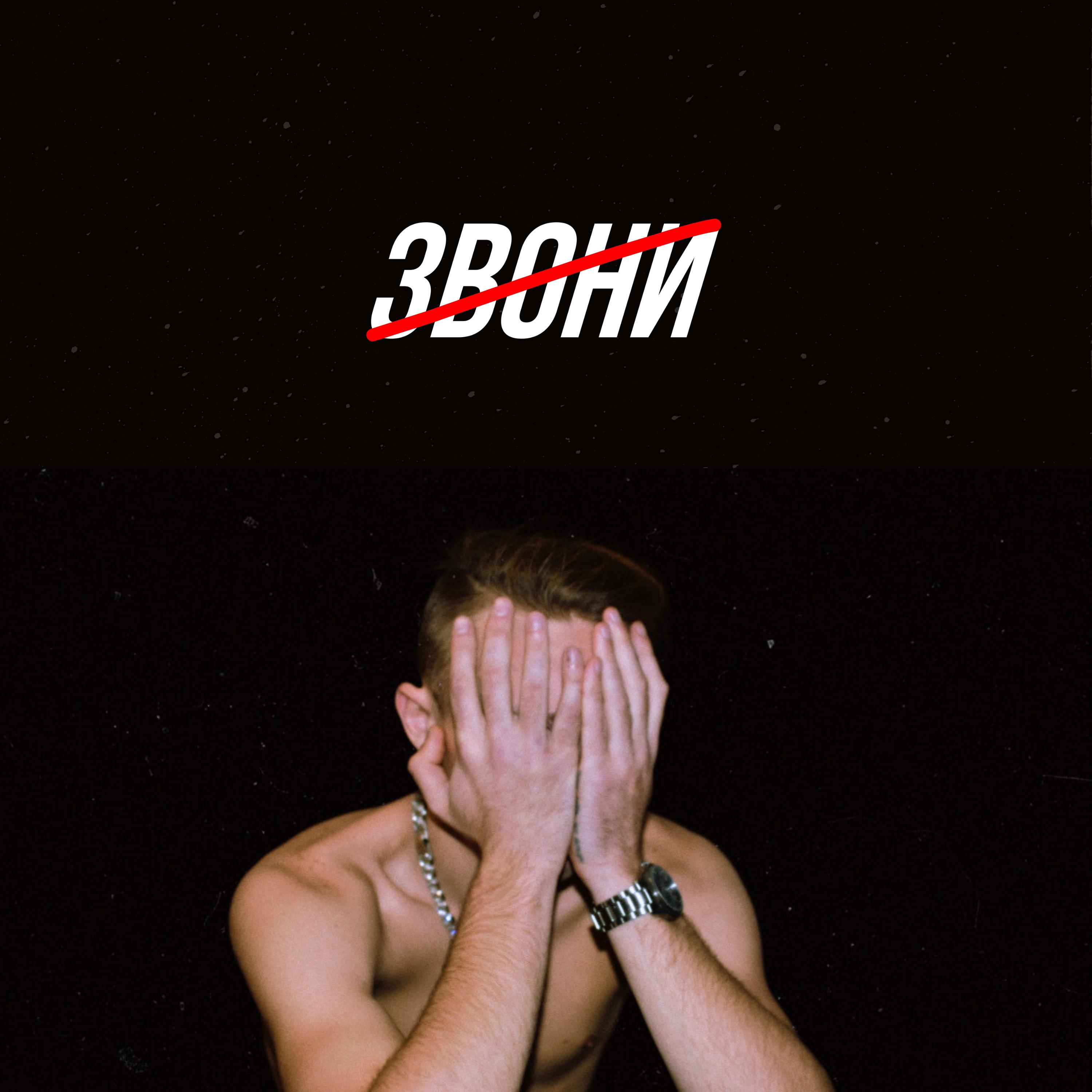 Постер альбома ЗВОНИ (Prod. by DikiyOtter)
