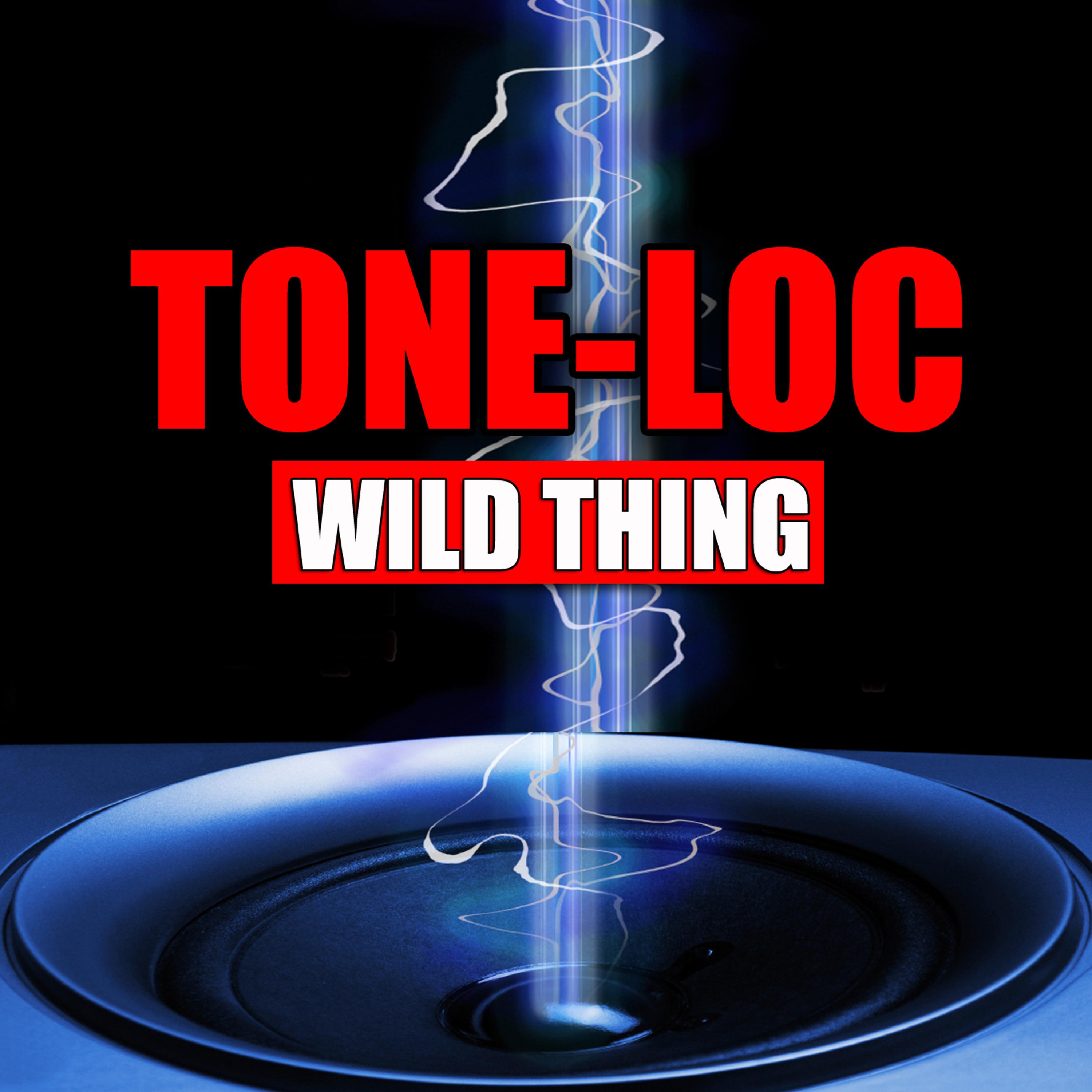 Постер альбома Wild Thing (Re-Recorded / Remastered Versions)