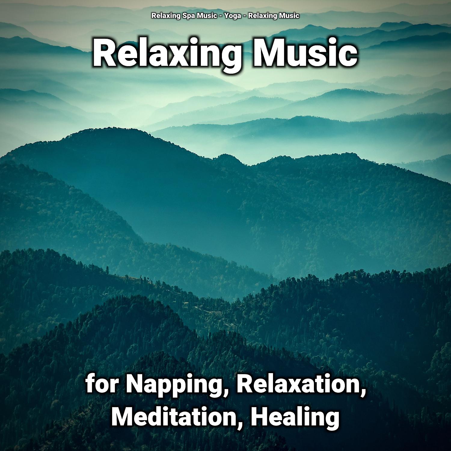 Постер альбома Relaxing Music for Napping, Relaxation, Meditation, Healing