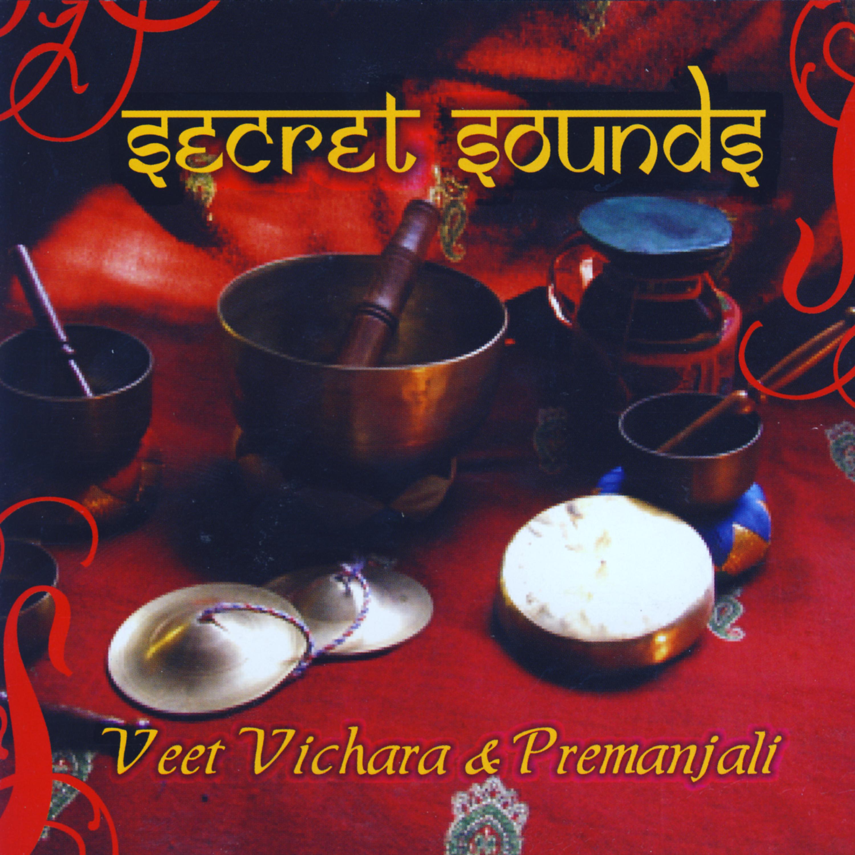 Постер альбома Secret Sounds