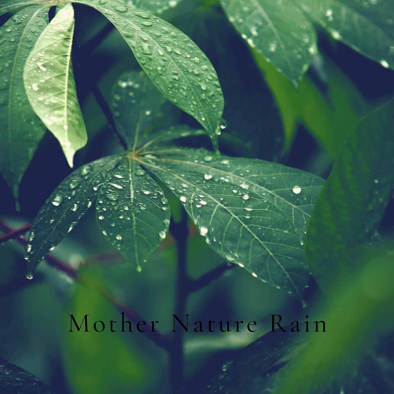 Постер альбома Mother Nature Rain