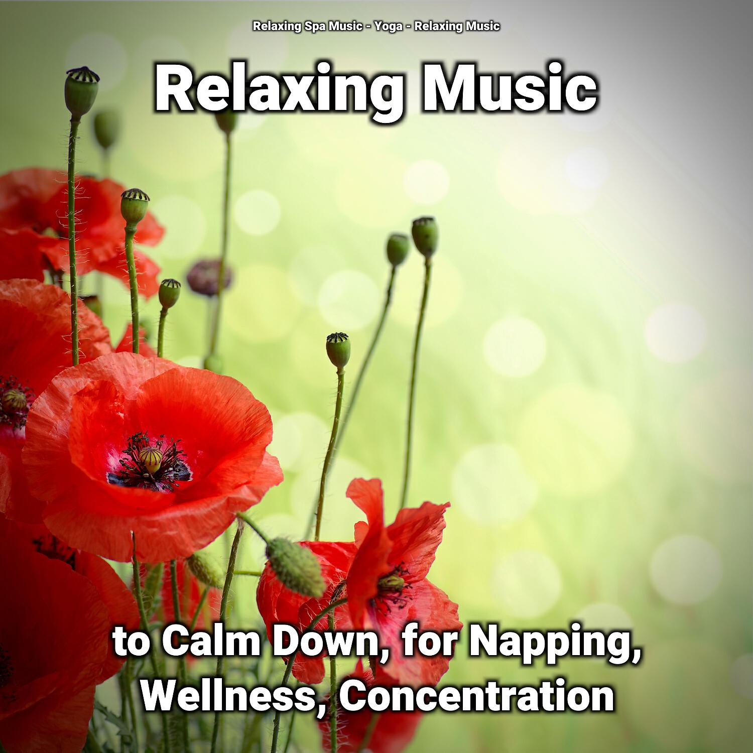 Relaxing Spa Music - Calm Music to Chill Out