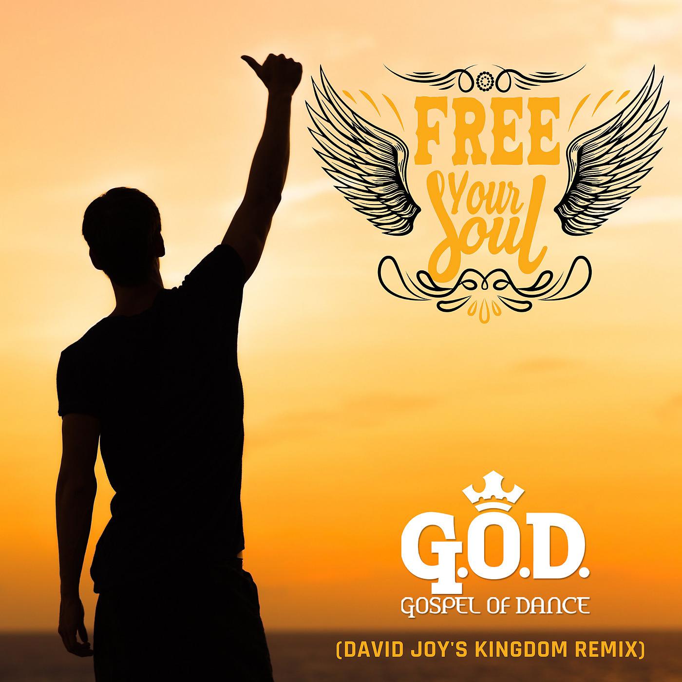 Постер альбома Free Your Soul (David Joy's Kingdom Remix)