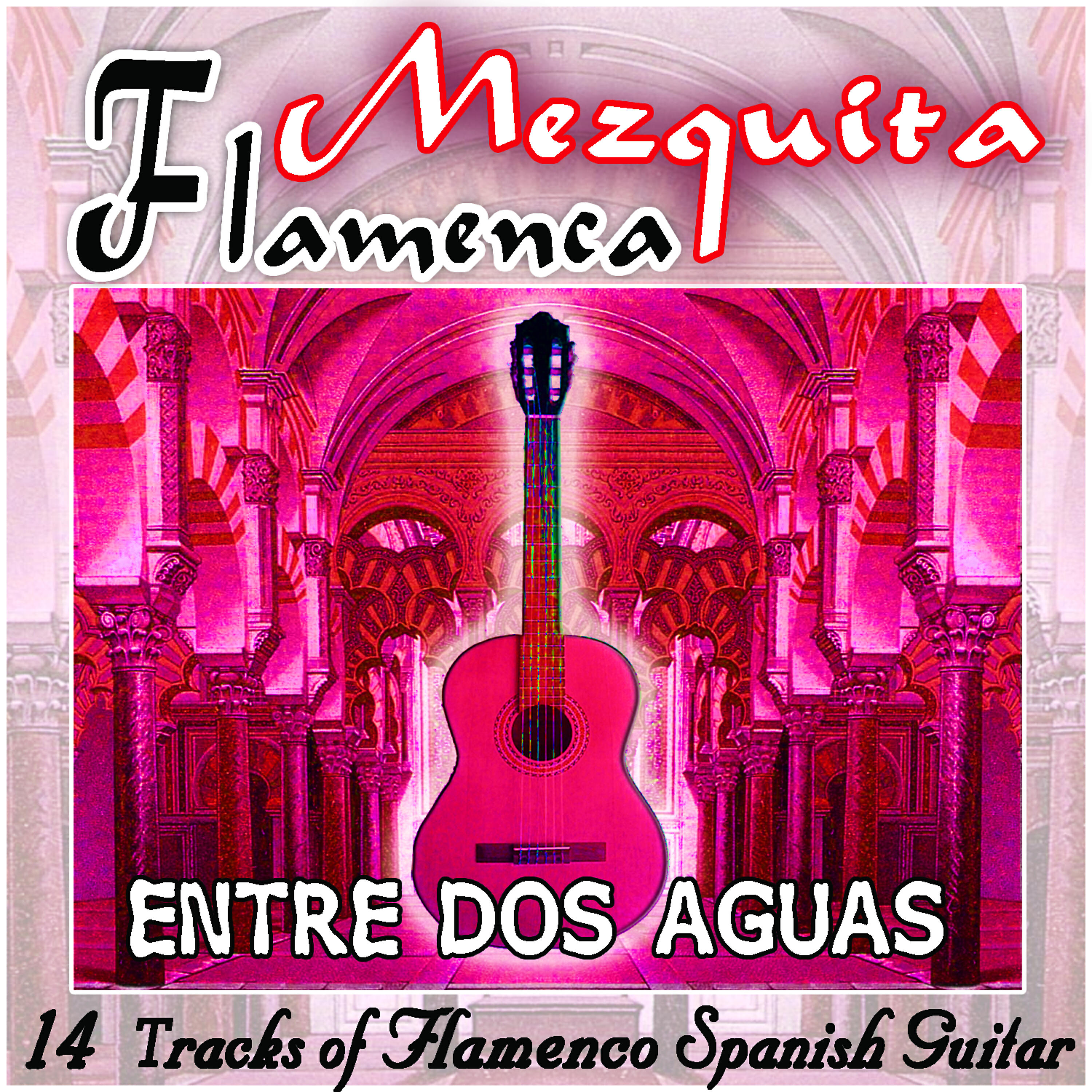 Various flamenco guitarrist - El Yunke