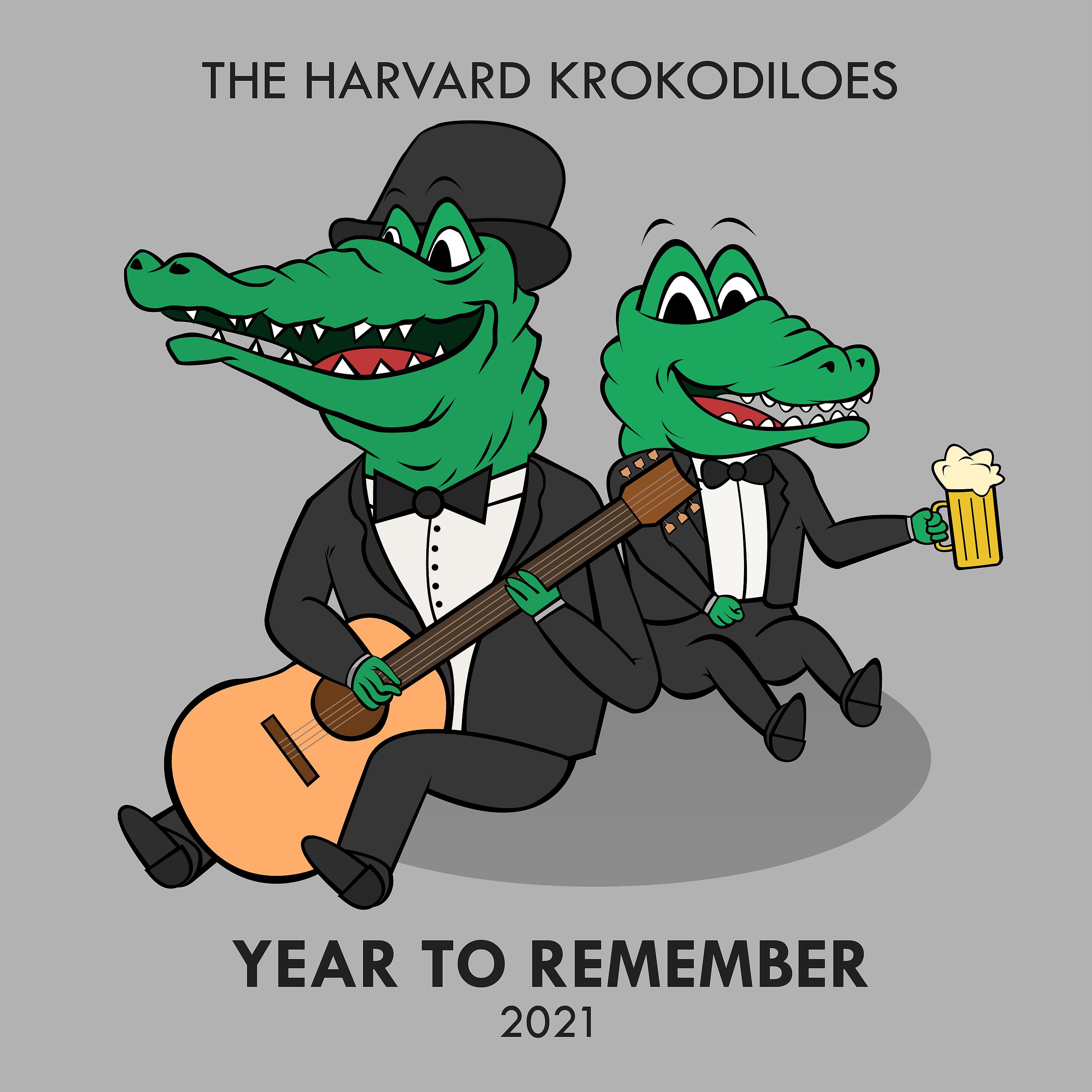 Постер альбома Year to Remember (2021)