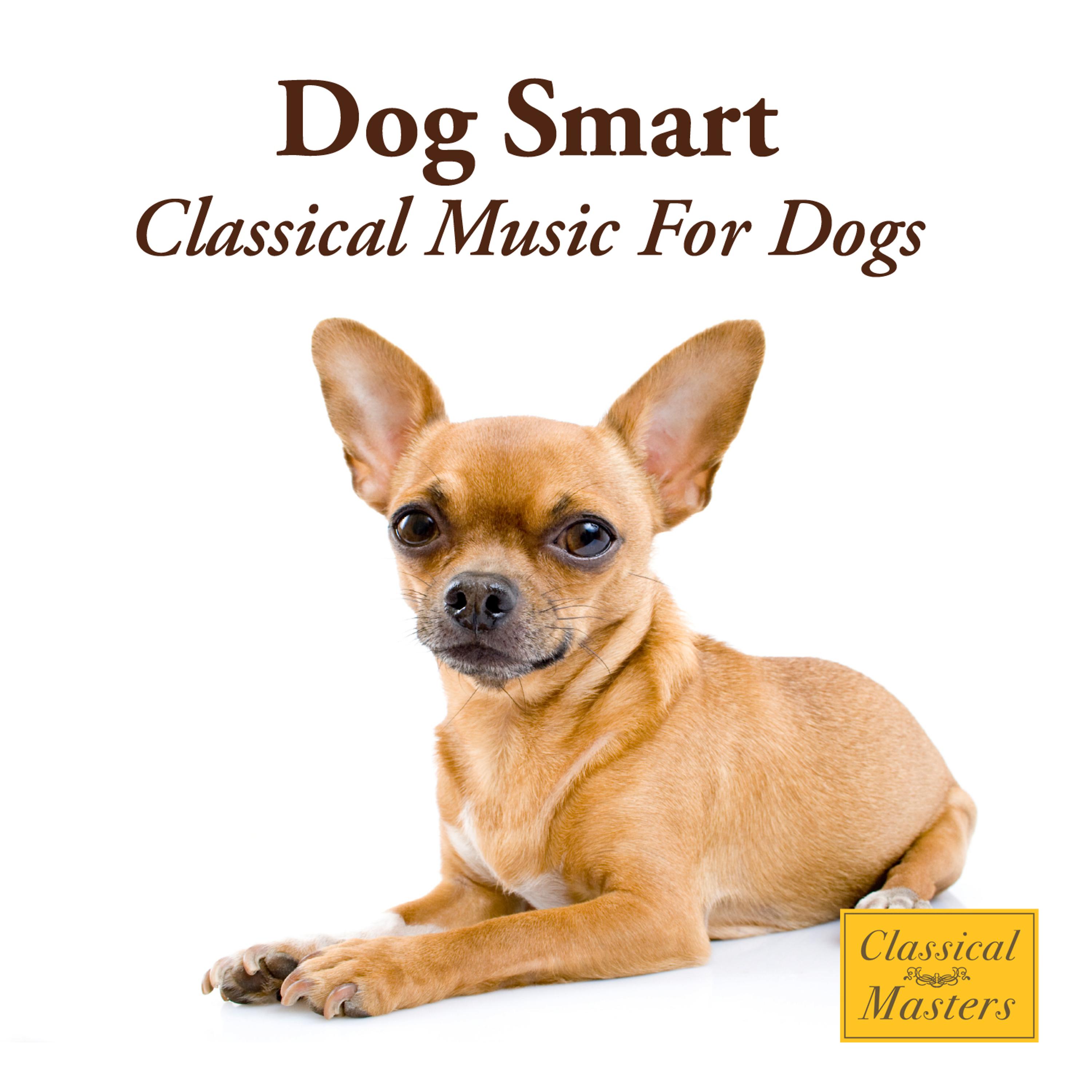Постер альбома Dog Smart - Classical Music For Dogs