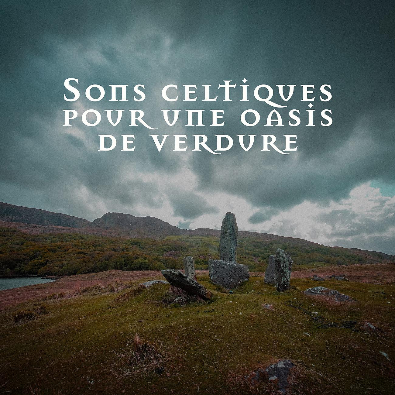 Постер альбома Sons celtiques pour une oasis de verdure dans le spa