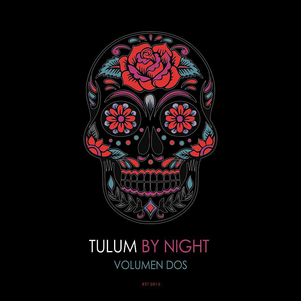 Постер альбома Tulum by Night, Vol. 2