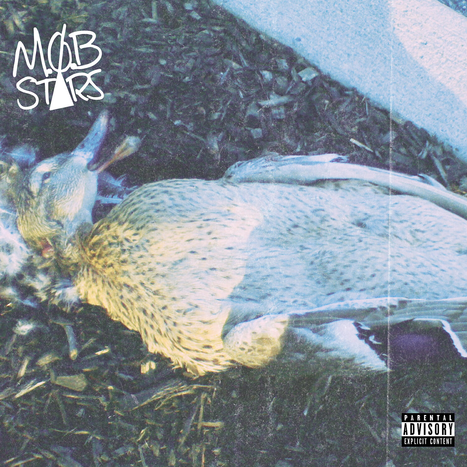 SAFE - Momentarily