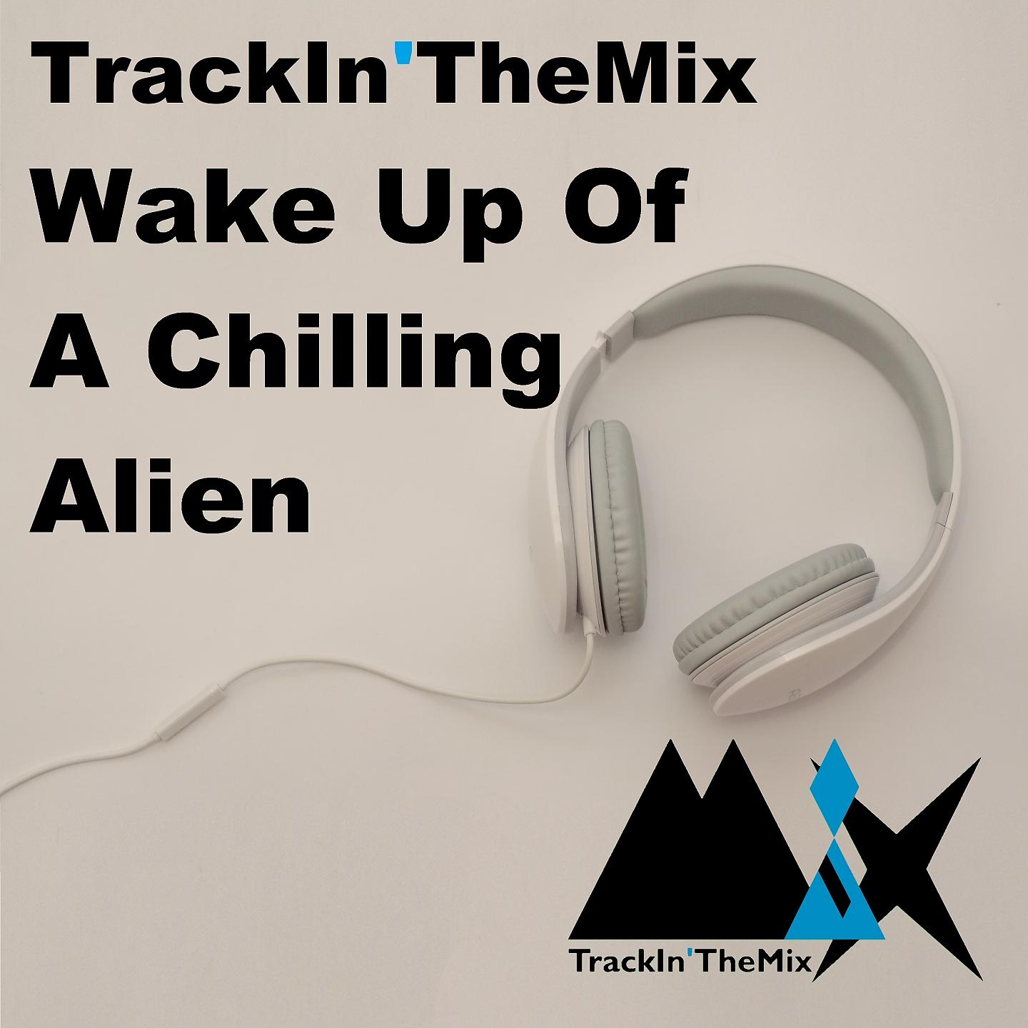 Постер альбома Wake up of a Chilling Alien