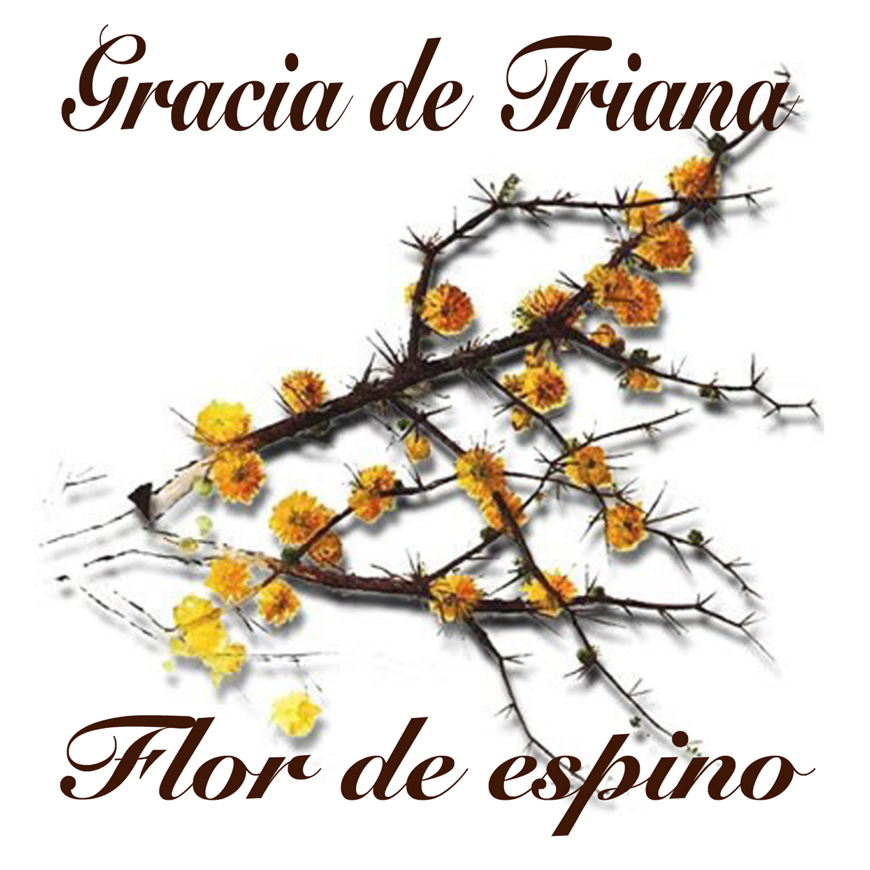 Gracia De Triana - La Venta de los Gatos