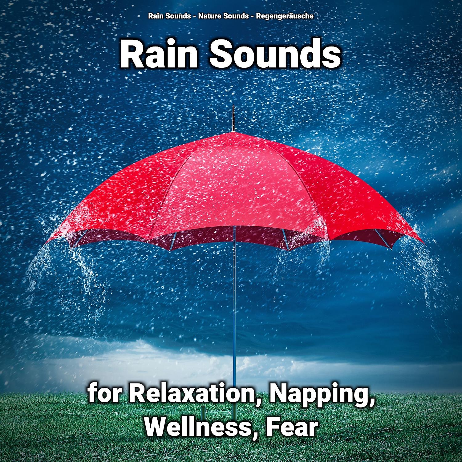 Постер альбома Rain Sounds for Relaxation, Napping, Wellness, Fear