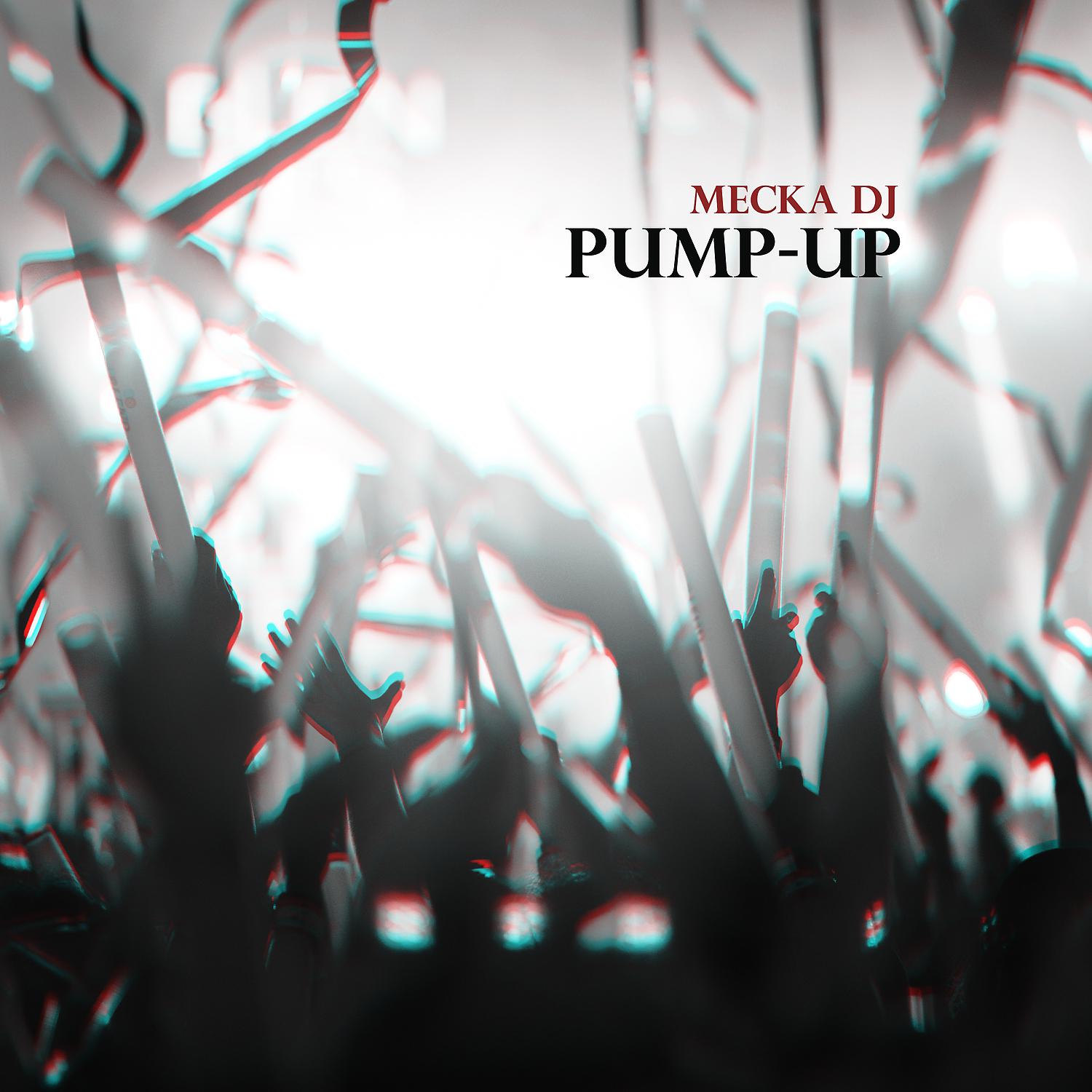 Постер альбома Pump-Up