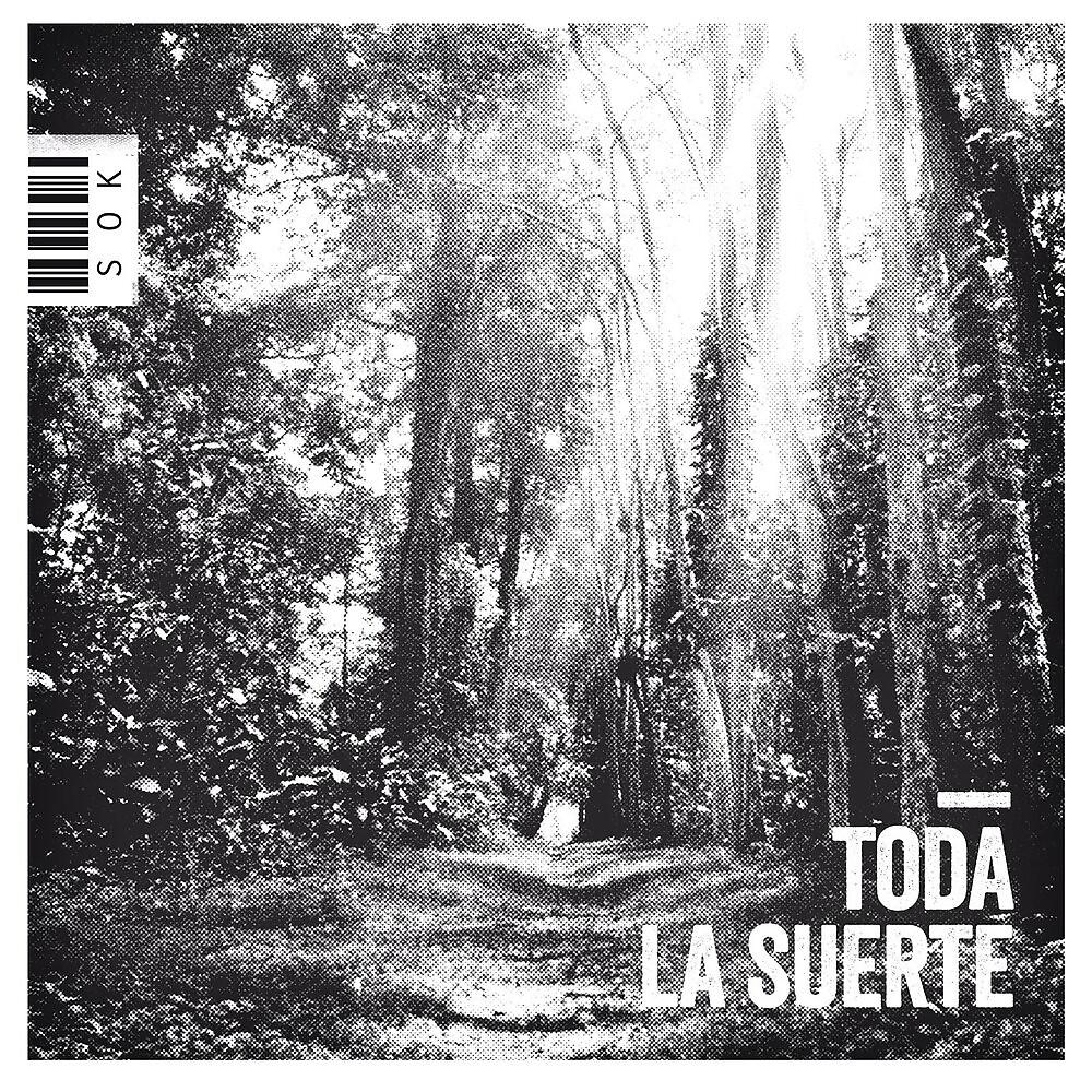 Постер альбома Toda la Suerte
