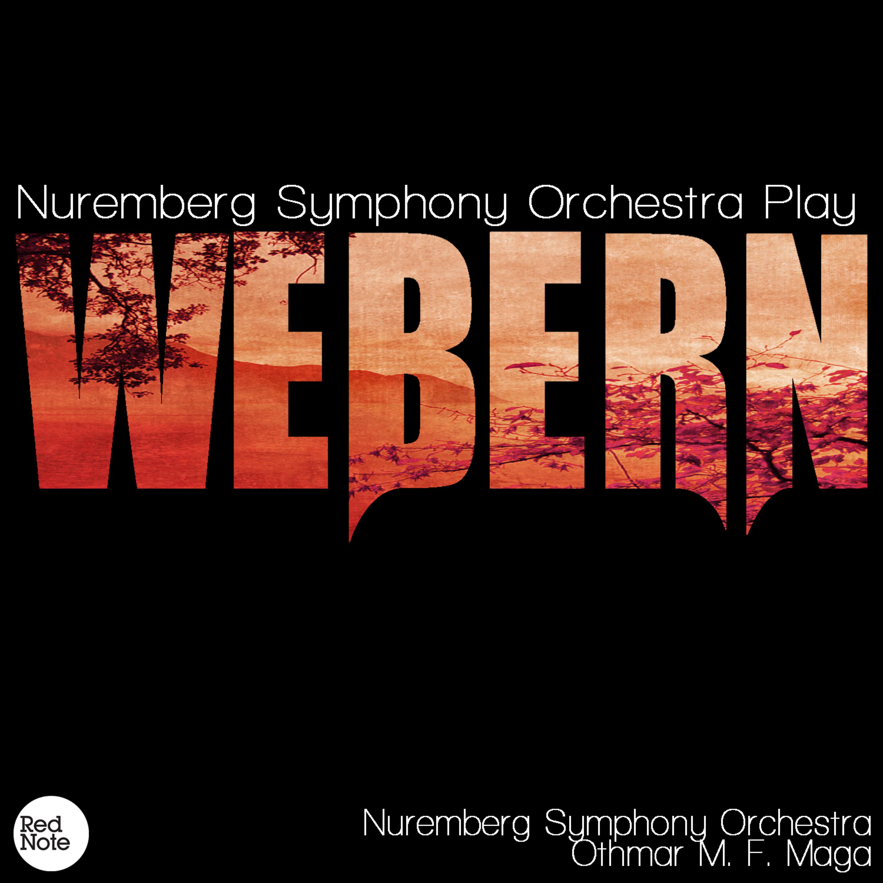 Постер альбома Nuremberg Symphony Orchestra Play Webern