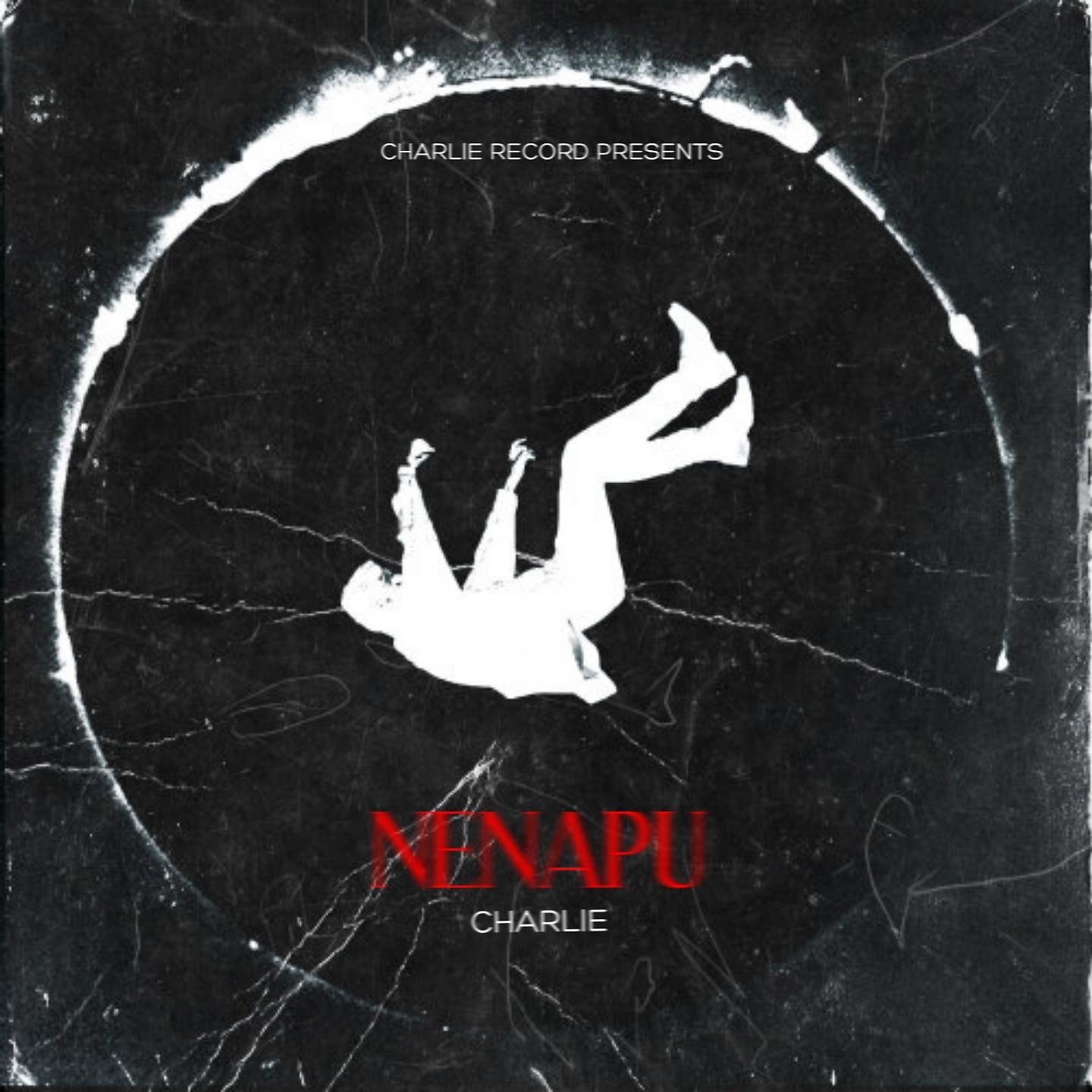 Постер альбома NENAPU