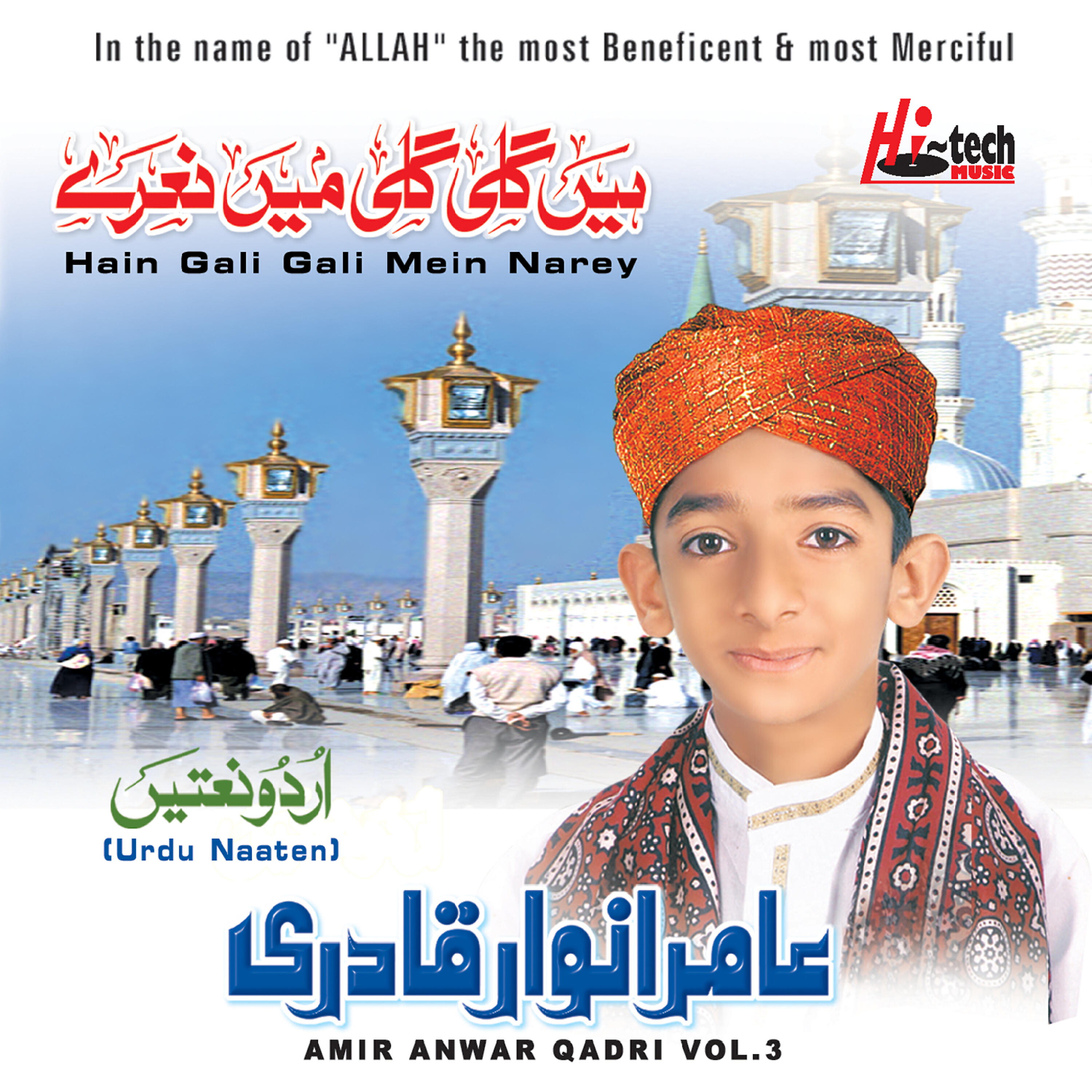 Amir Anwar Qadri - Zameen