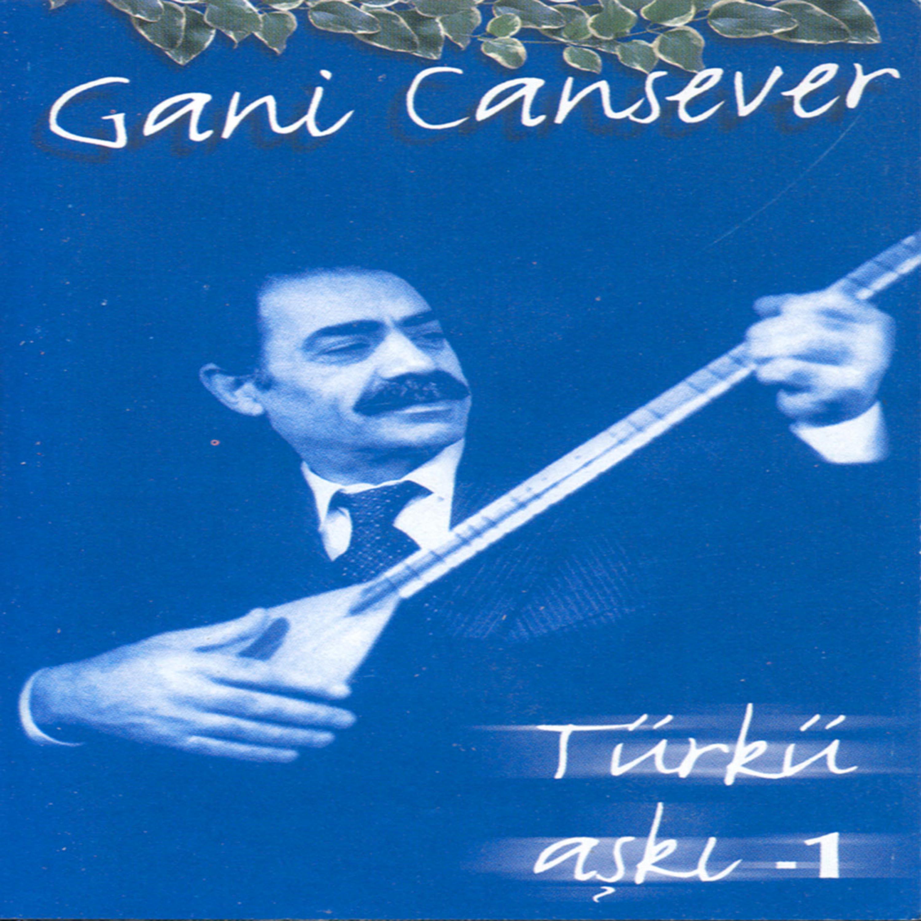Постер альбома Türkü Aski 1