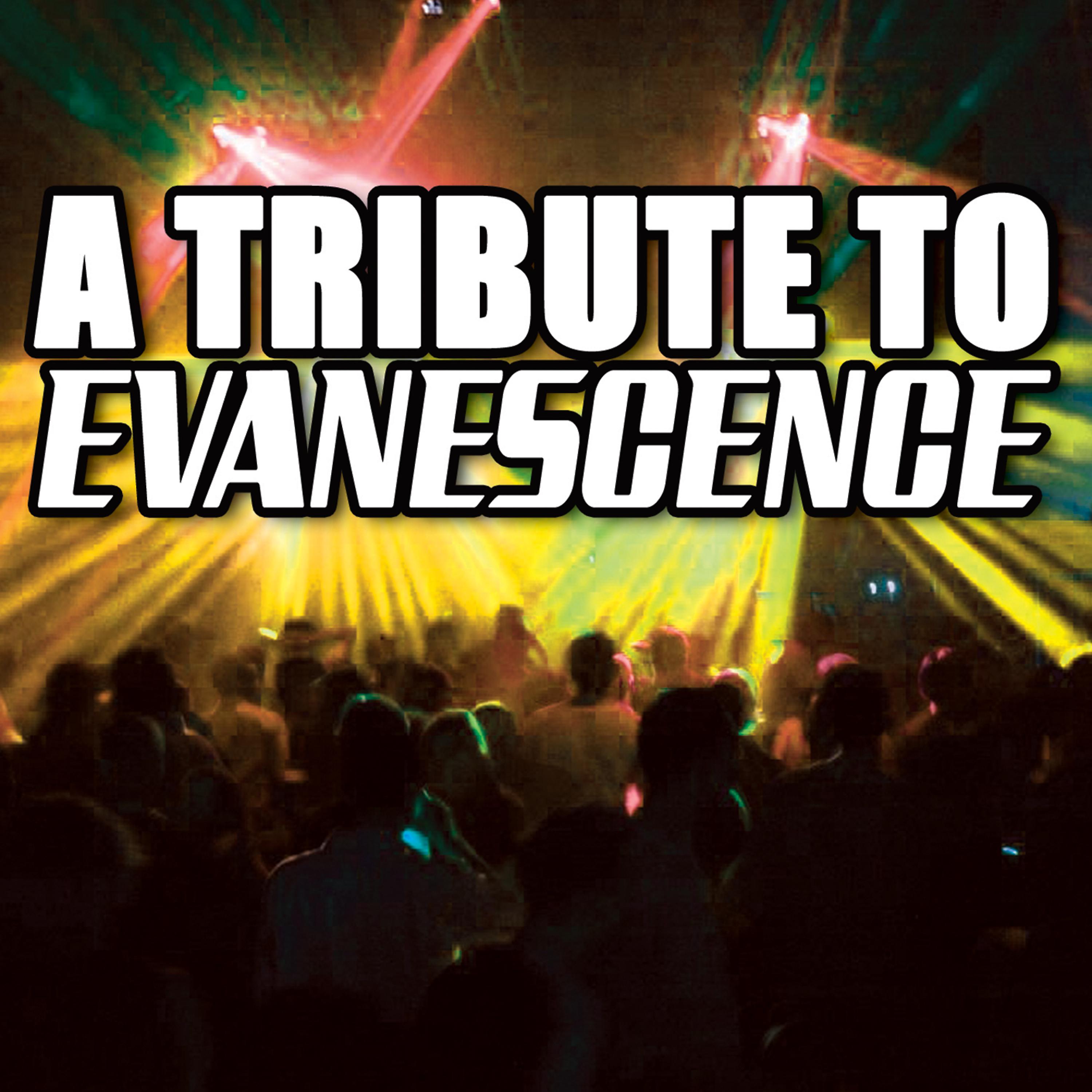 Постер альбома A Tribute To Evanescence