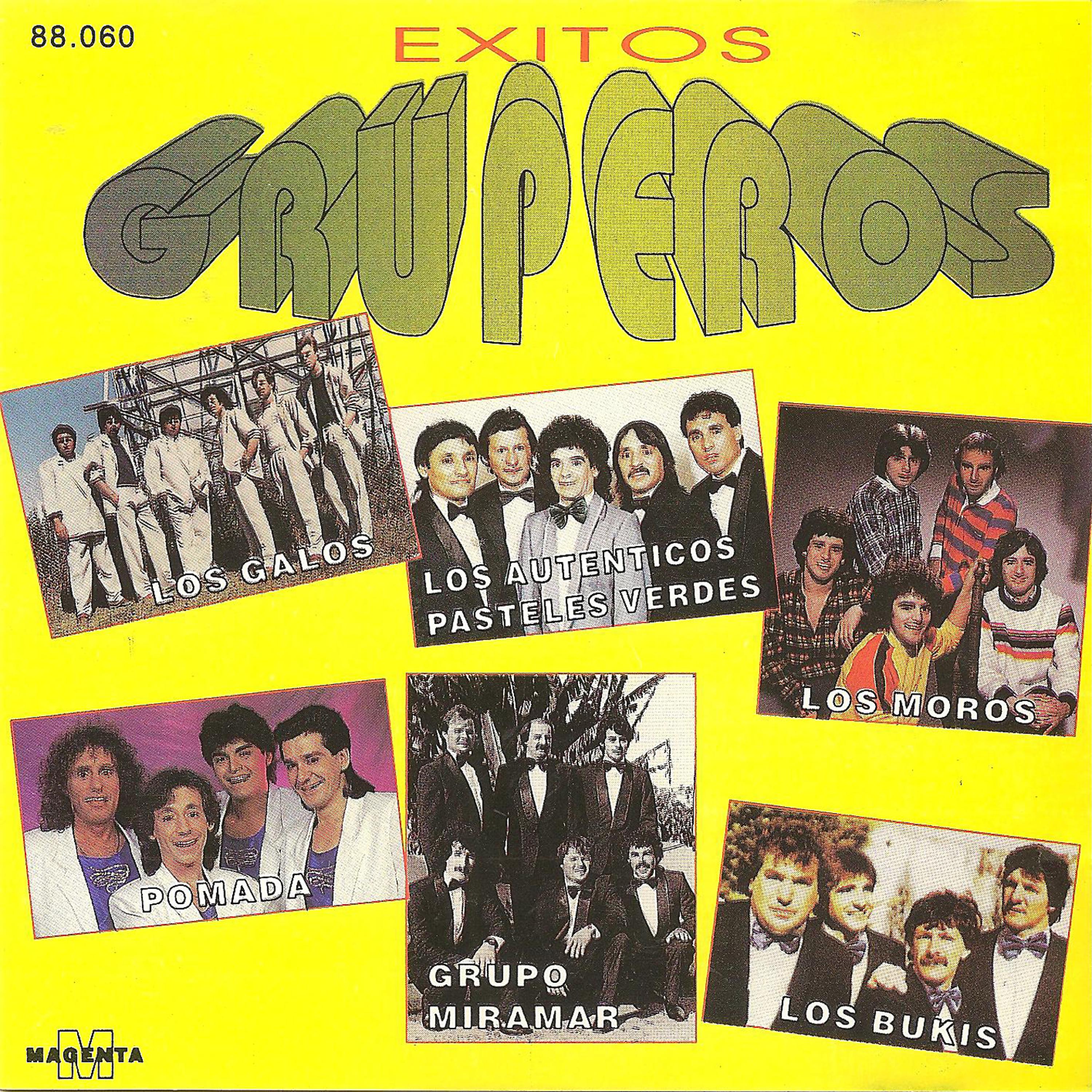 Постер альбома Exitos Gruperos - (Los galos - Los autenticos pasteles verdes - Los moros - Pomada- Grupo Miramar - Los bukis)