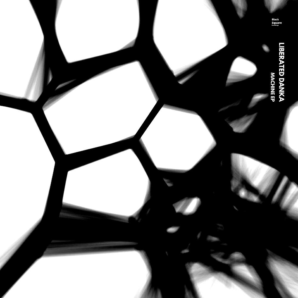 Liberated Turmoil - Danka