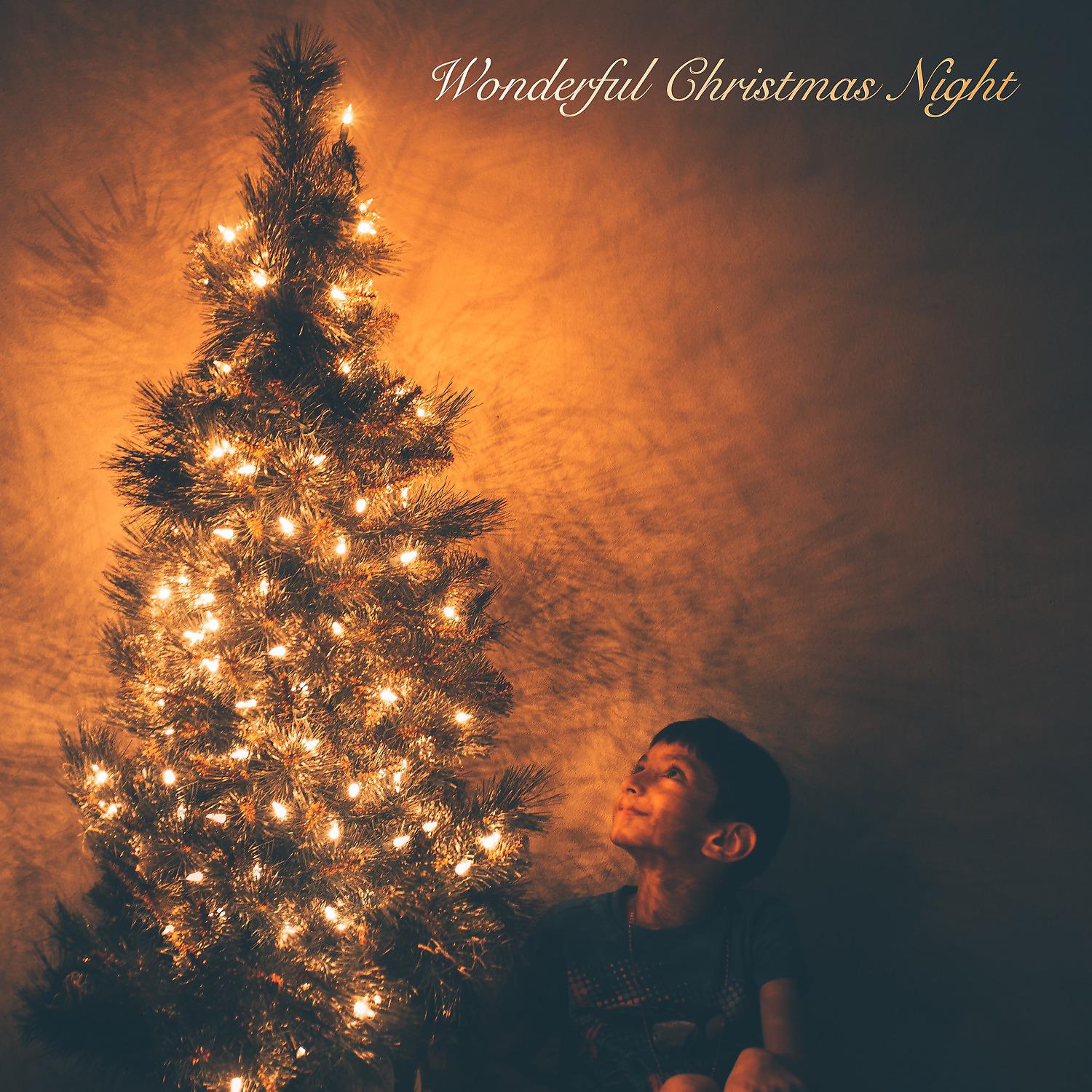 Постер альбома Wonderful Christmas Night