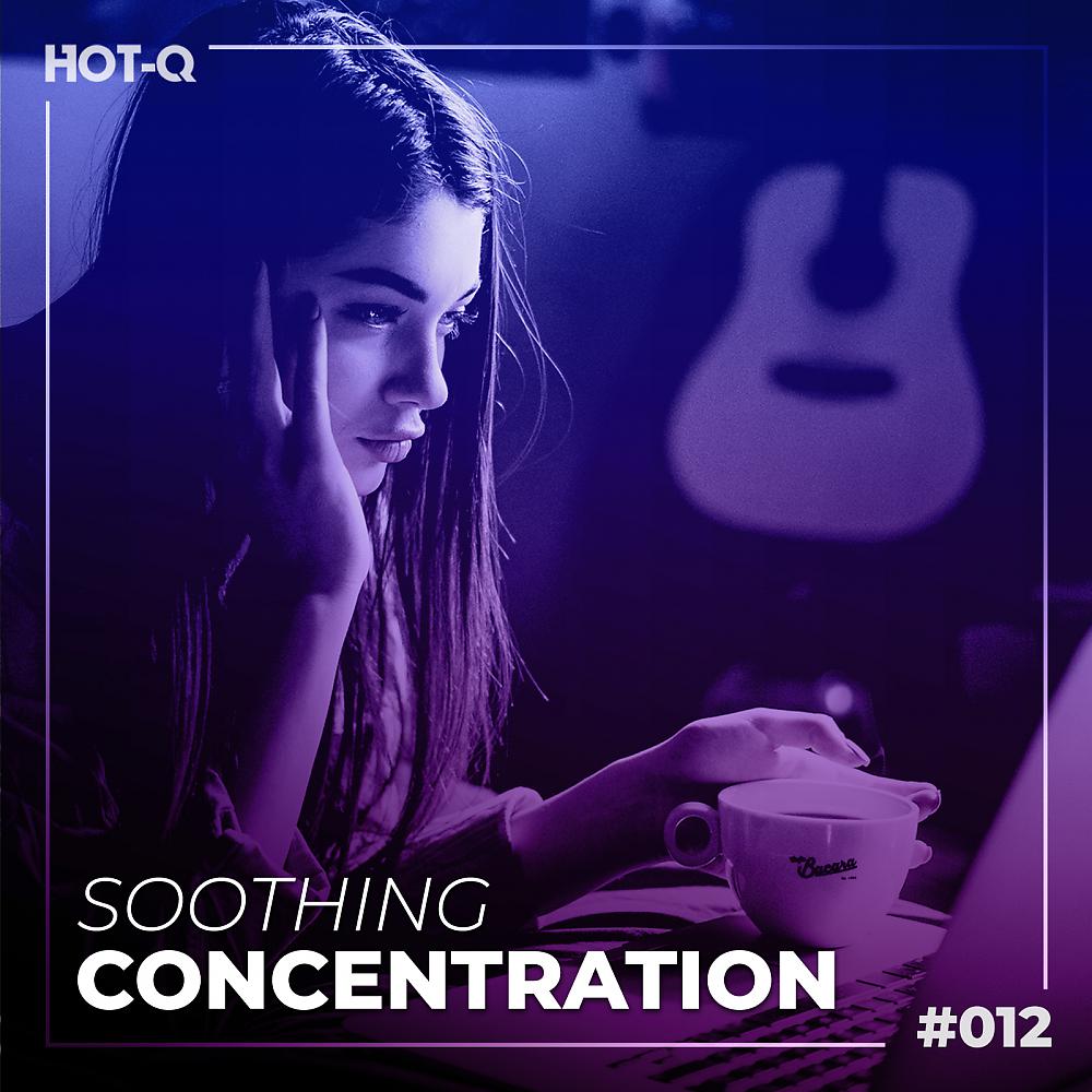 Постер альбома Soothing Concentration 012