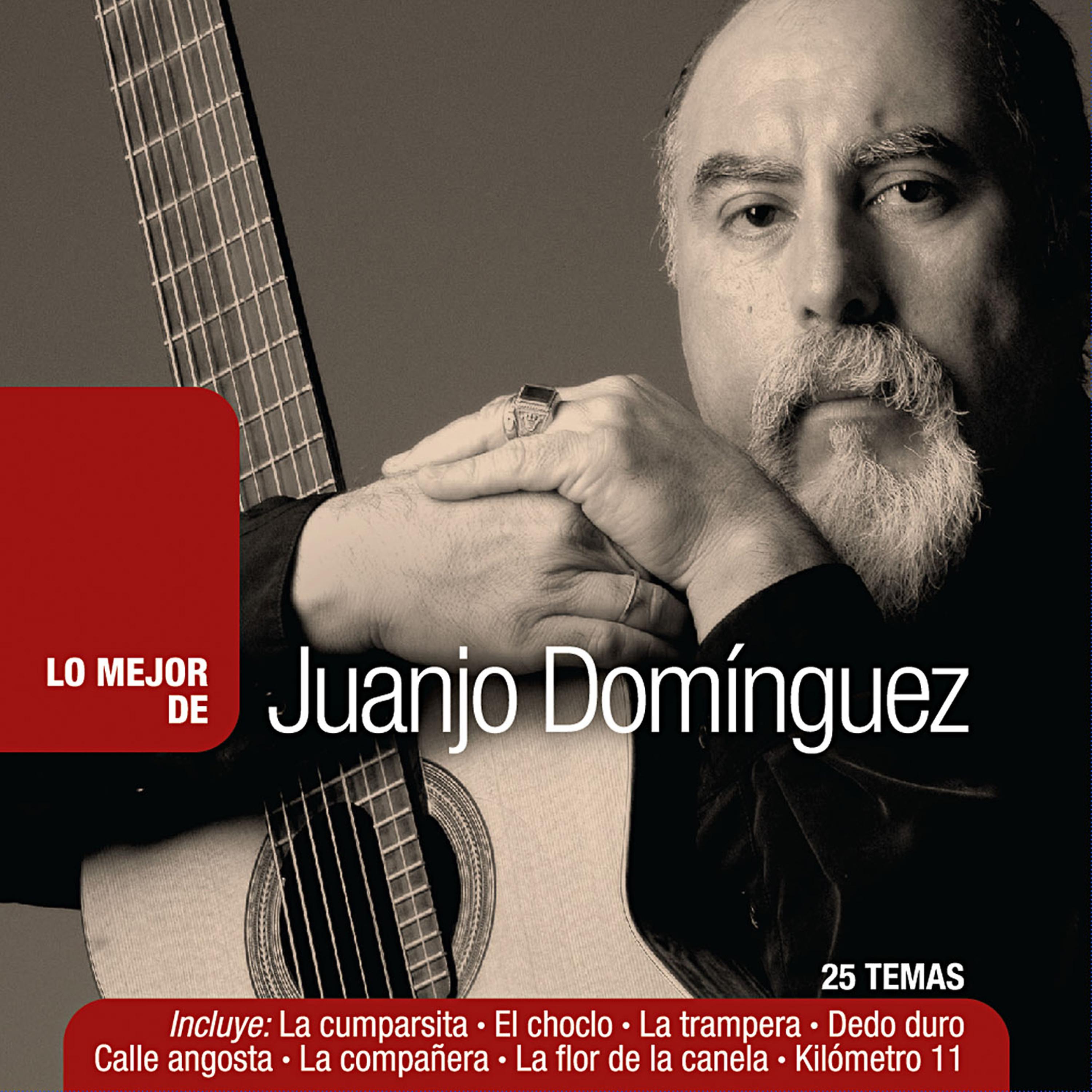 Постер альбома Lo Mejor de Juanjo Domínguez