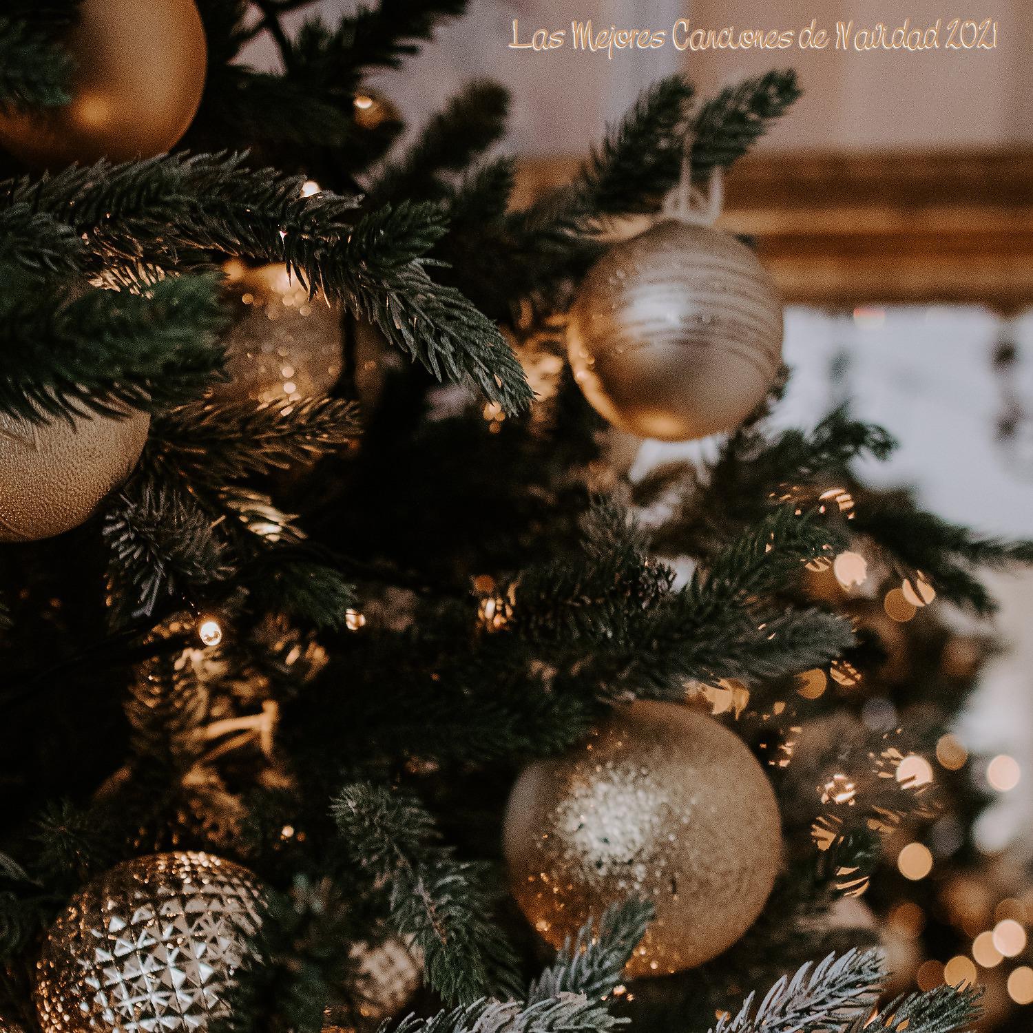 Постер альбома Las Mejores Canciones de Navidad 2021