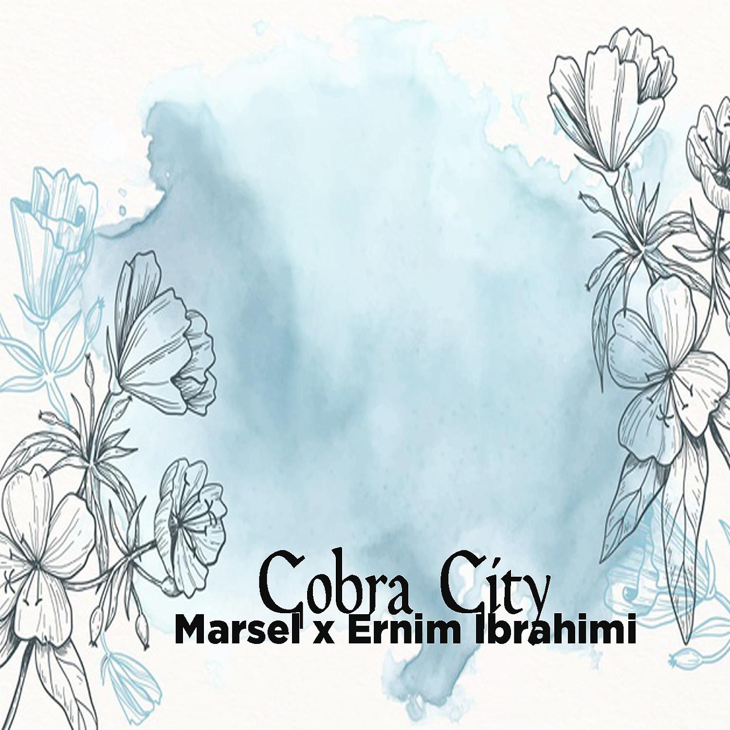 Постер альбома Cobra City