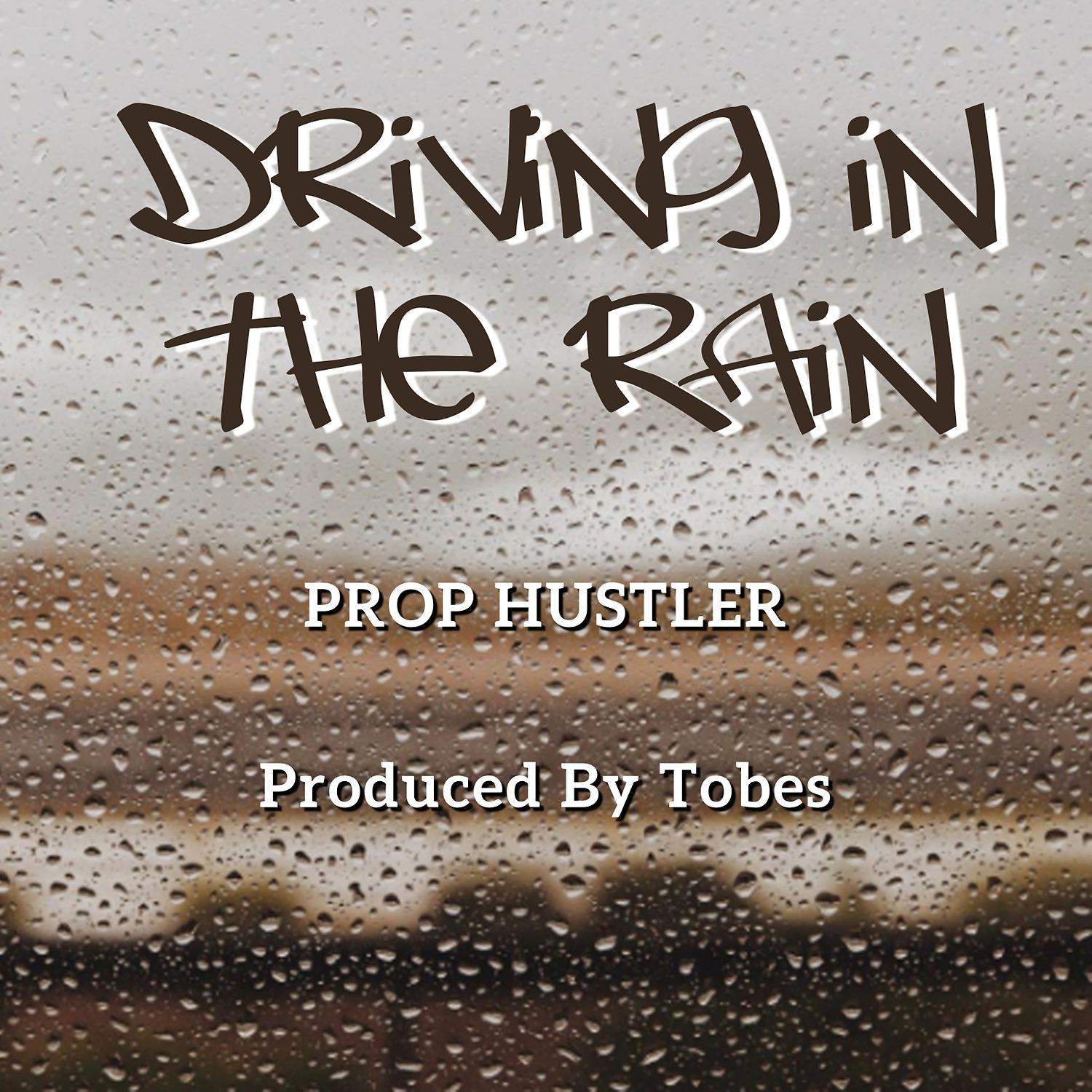 Постер альбома Driving in the Rain