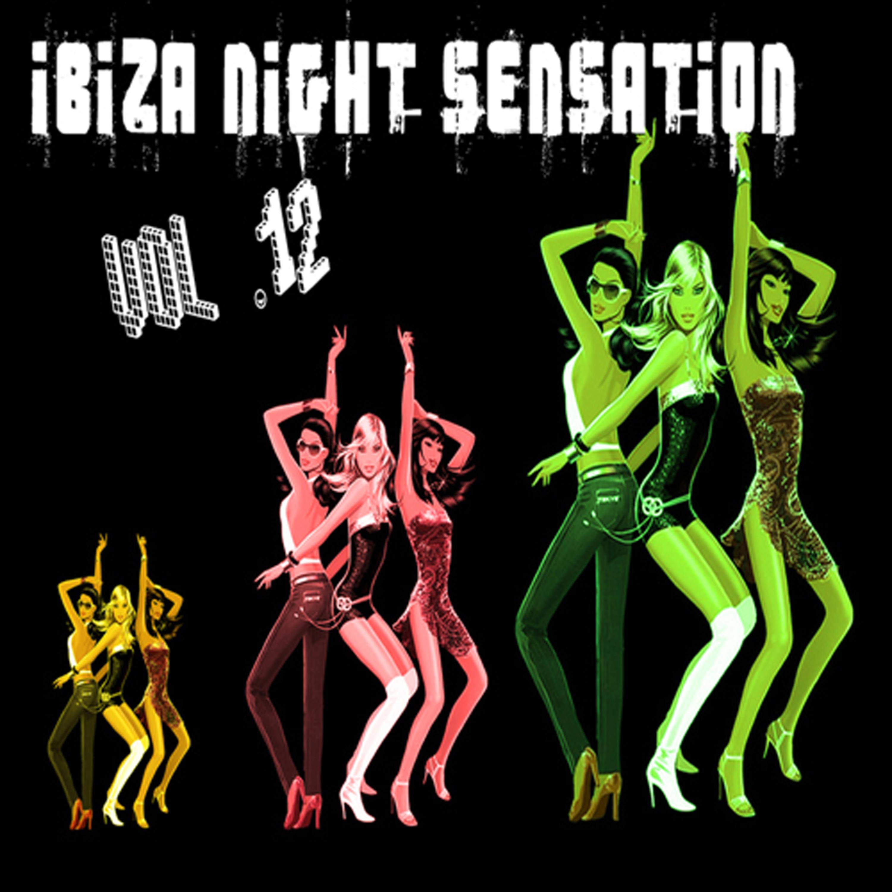 Постер альбома Ibiza Night Sensation Vol. 12