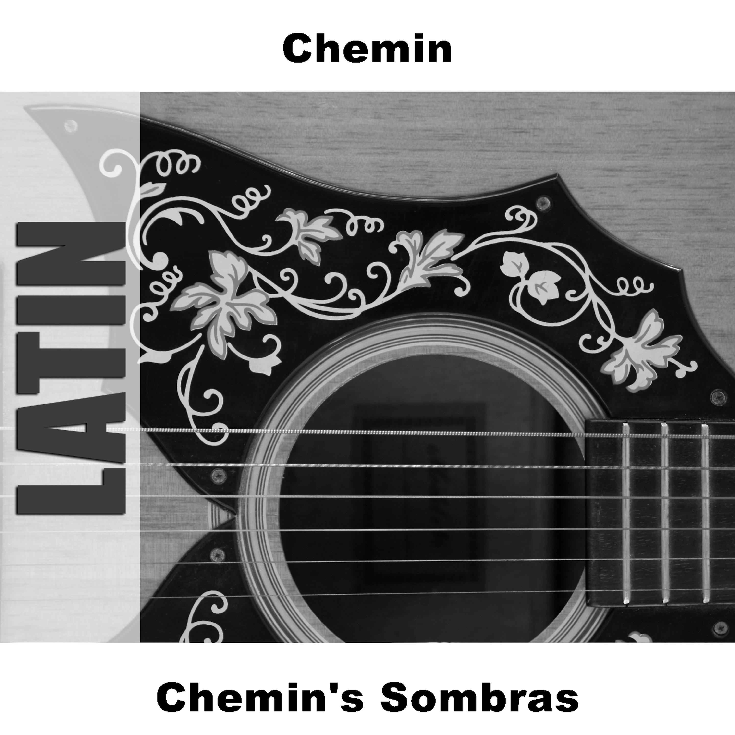 Постер альбома Chemin's Sombras