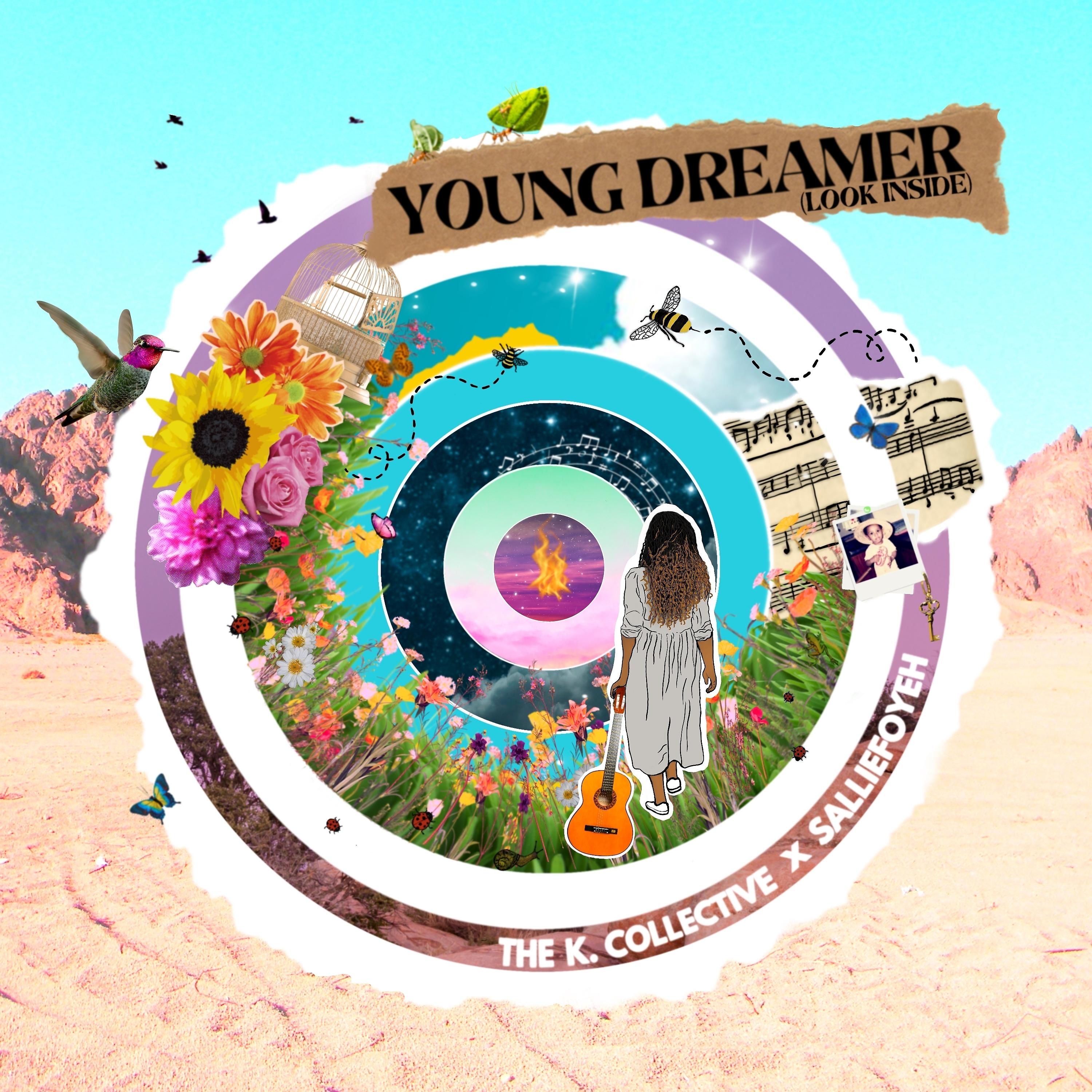 Постер альбома Young Dreamer (Look Inside)
