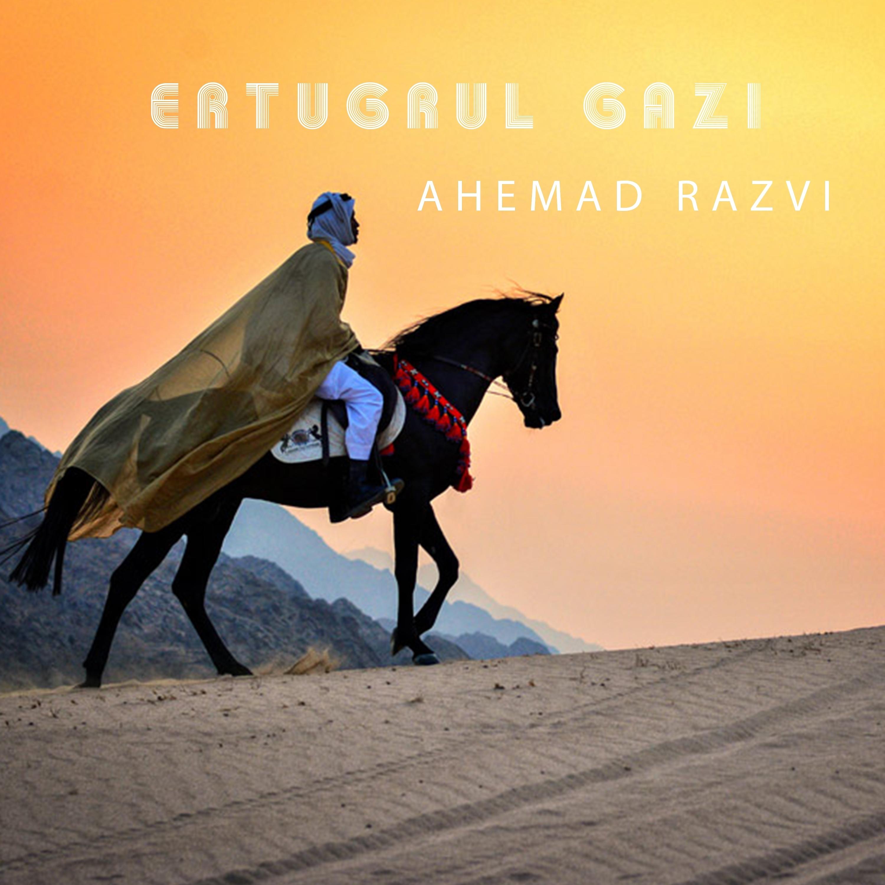 Постер альбома Ertugrul Gazi