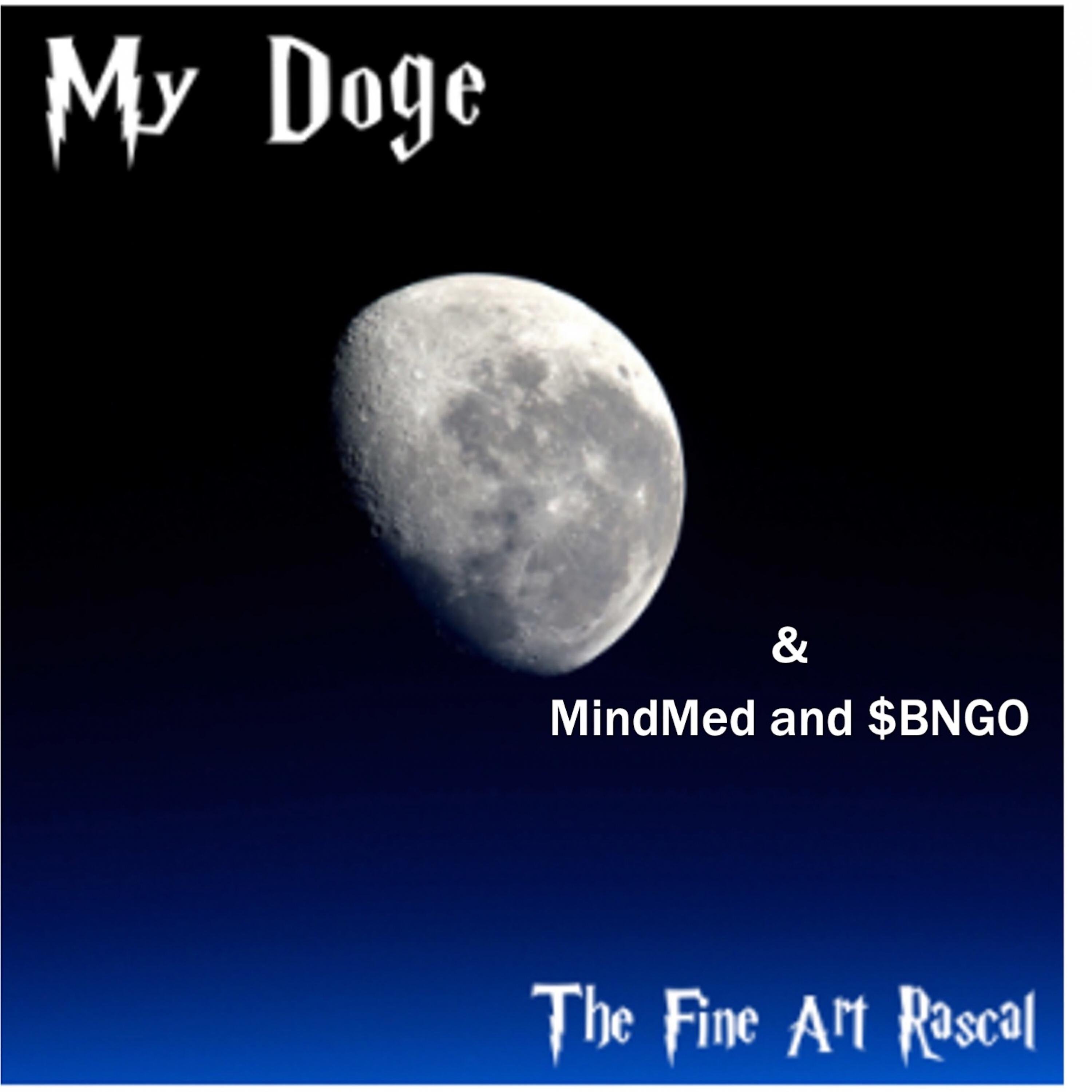 The Fine Art Rascal - Mindmed and $B.N.G.O.